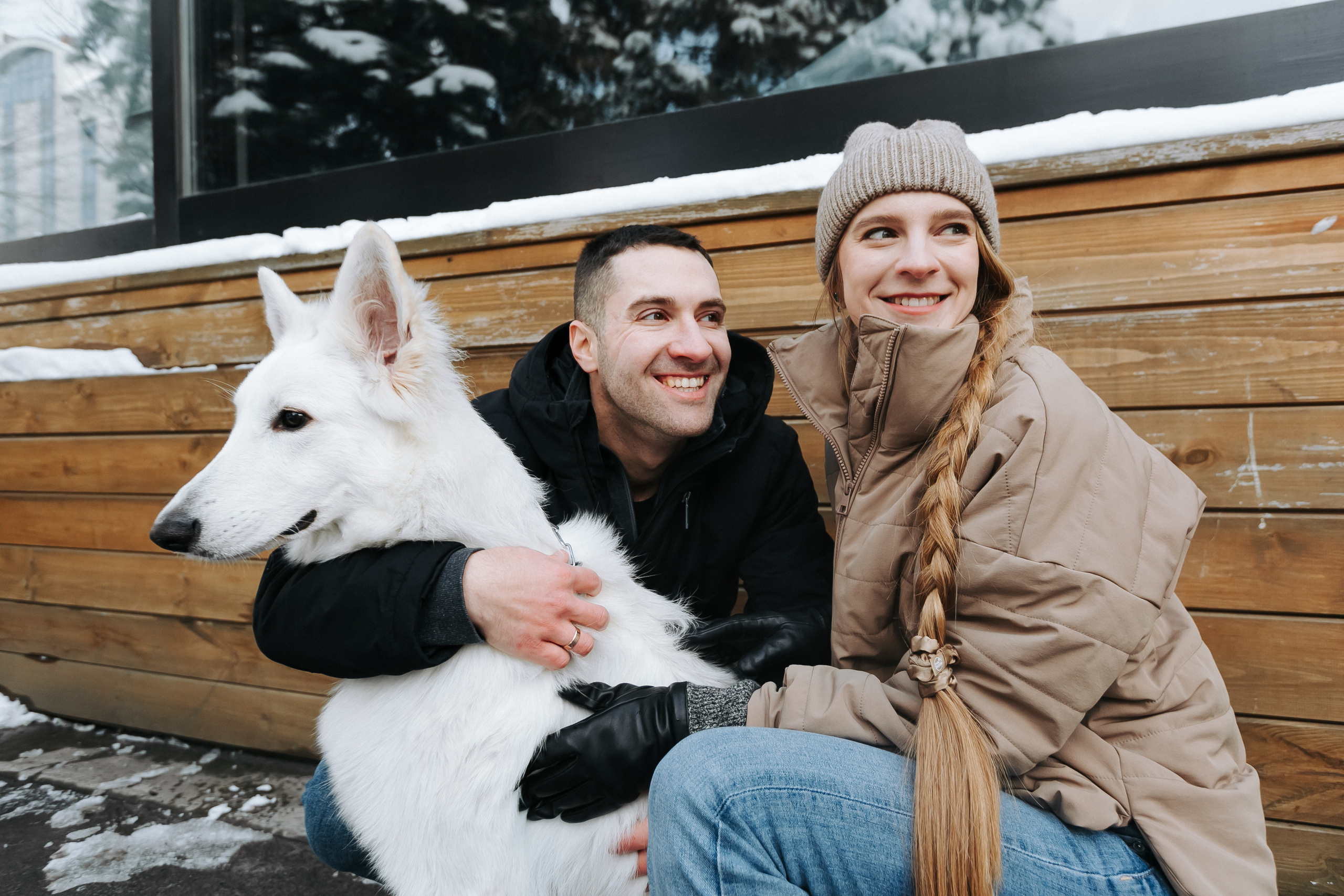 Лапы.Хвост.Снег. Майя Алиева Свадебный фотограф в Санкт-Петербурге