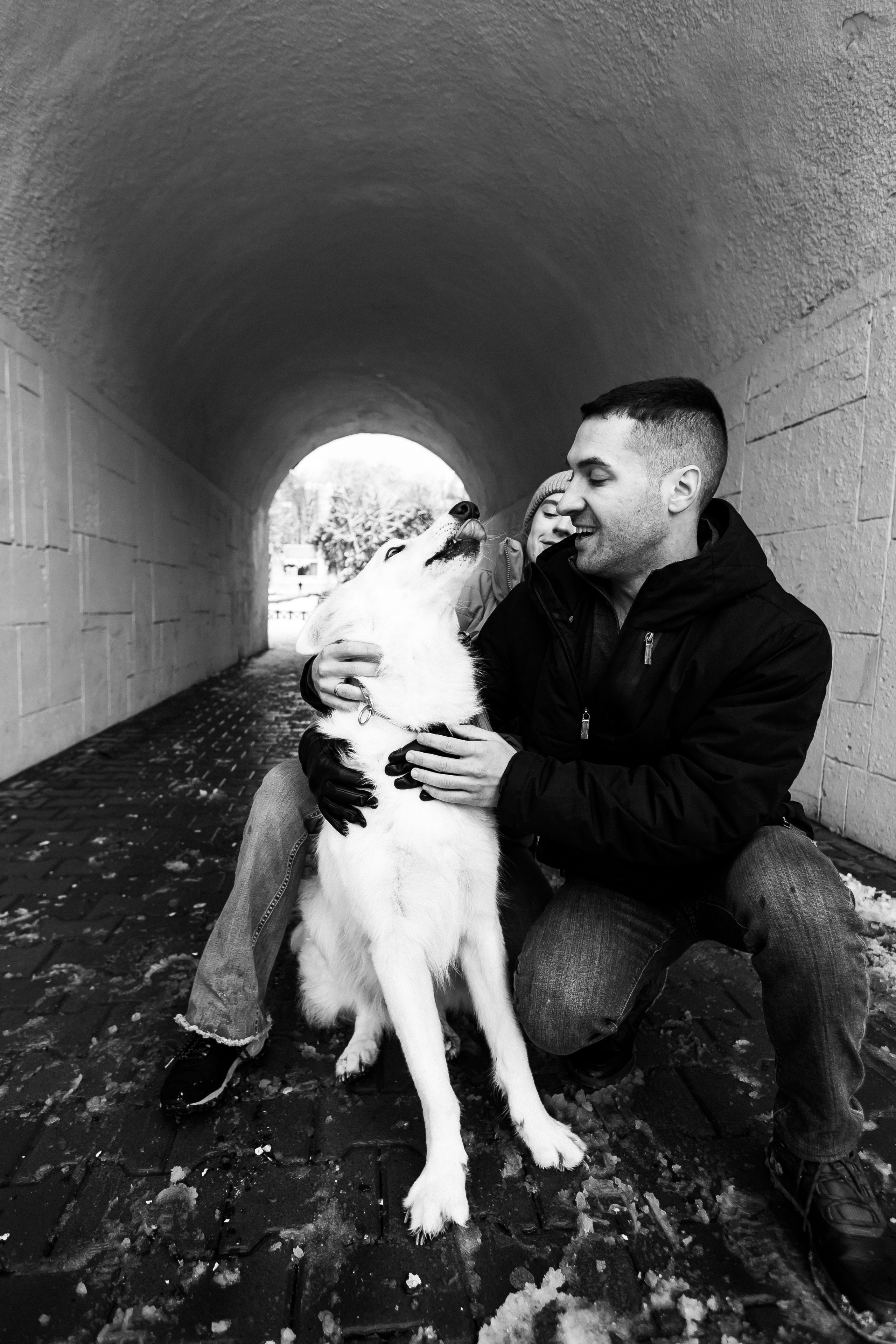 Лапы.Хвост.Снег. Майя Алиева Свадебный фотограф в Санкт-Петербурге