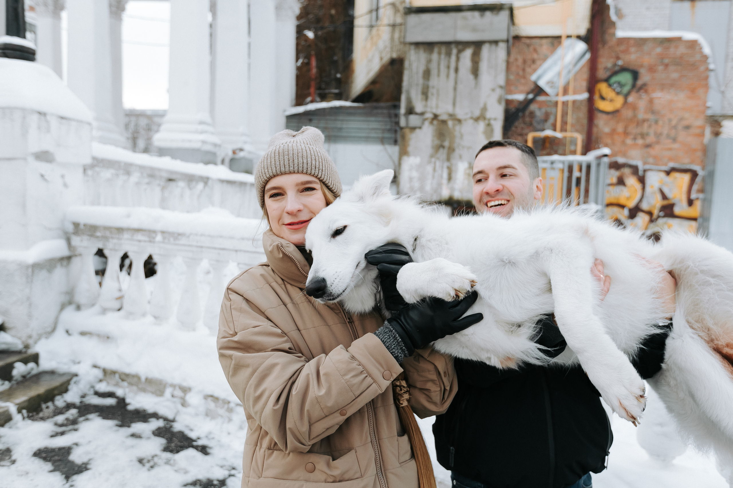 Лапы.Хвост.Снег. Майя Алиева Свадебный фотограф в Санкт-Петербурге