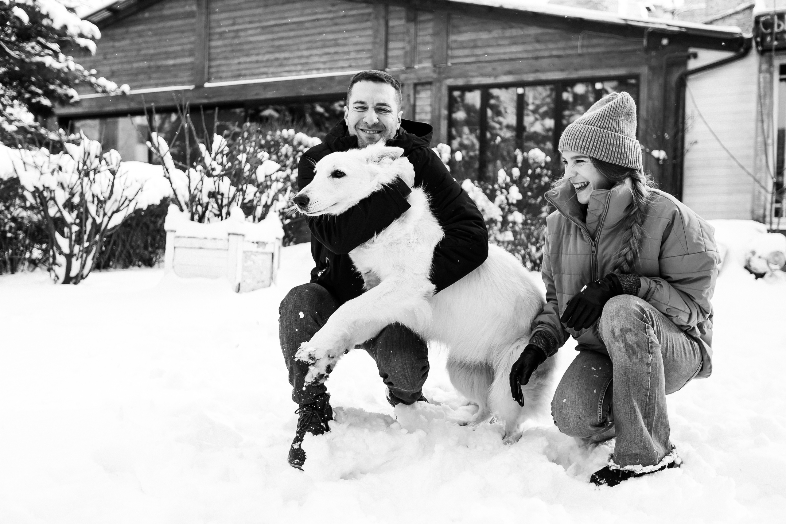 Лапы.Хвост.Снег. Майя Алиева Свадебный фотограф в Санкт-Петербурге