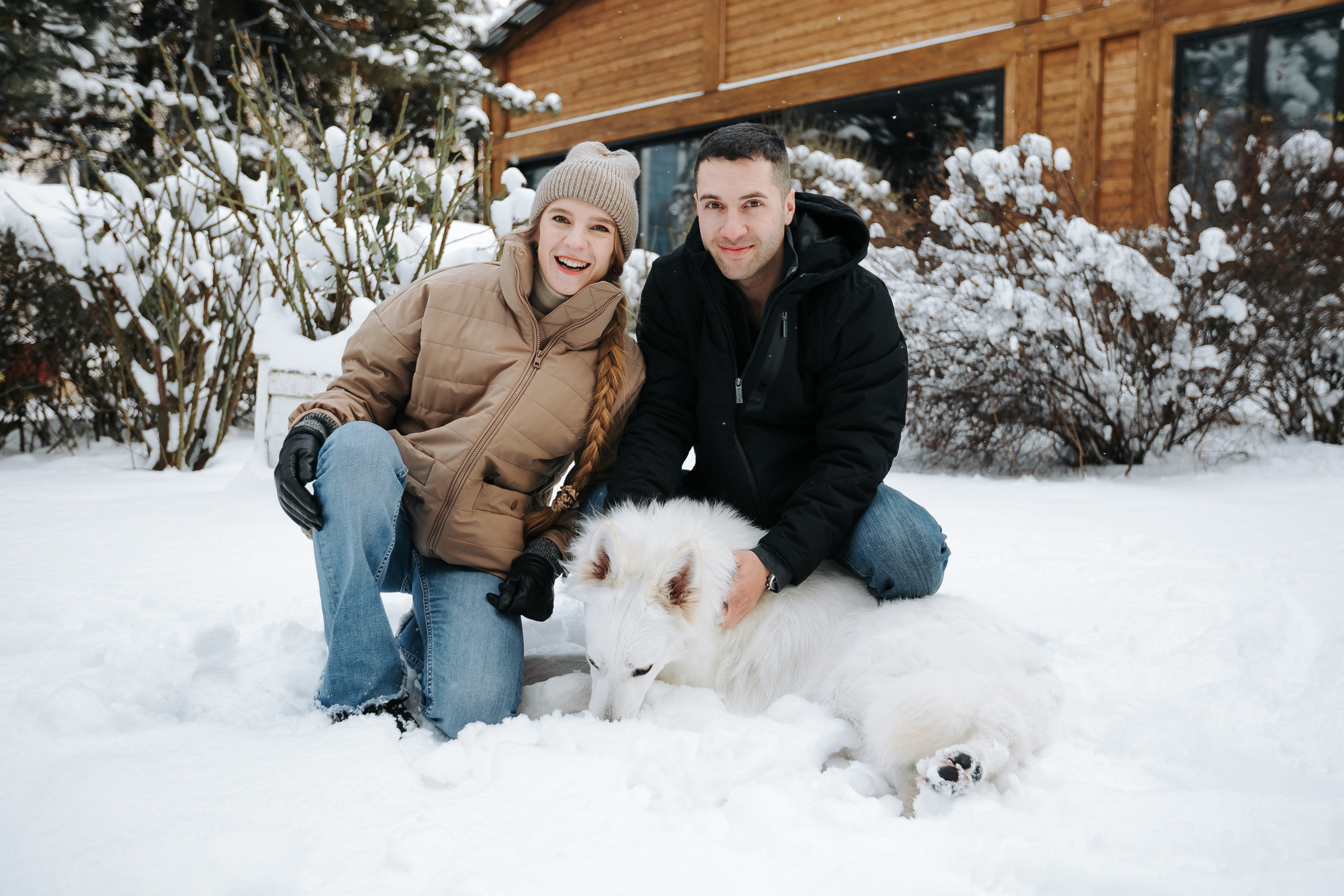 Лапы.Хвост.Снег. Майя Алиева Свадебный фотограф в Санкт-Петербурге