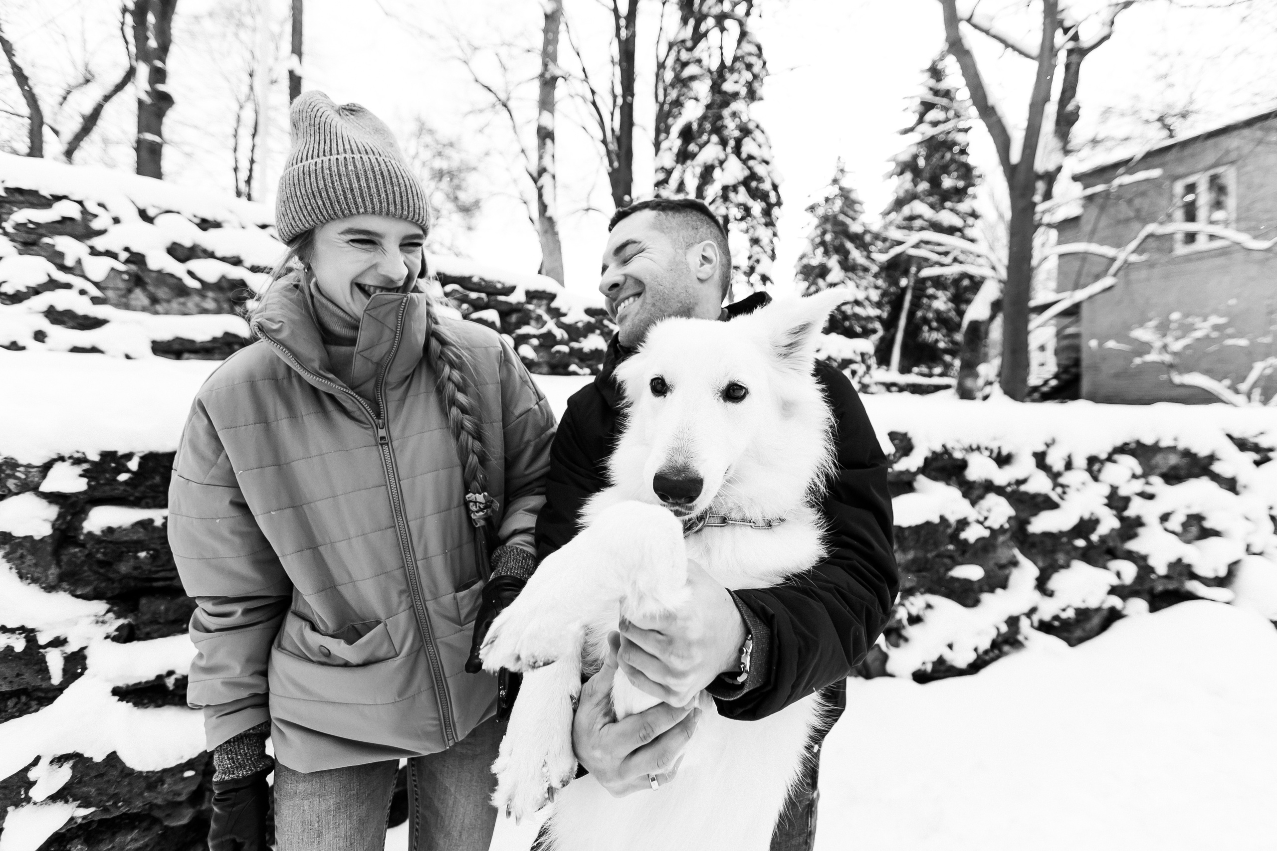 Лапы.Хвост.Снег. Майя Алиева Свадебный фотограф в Санкт-Петербурге