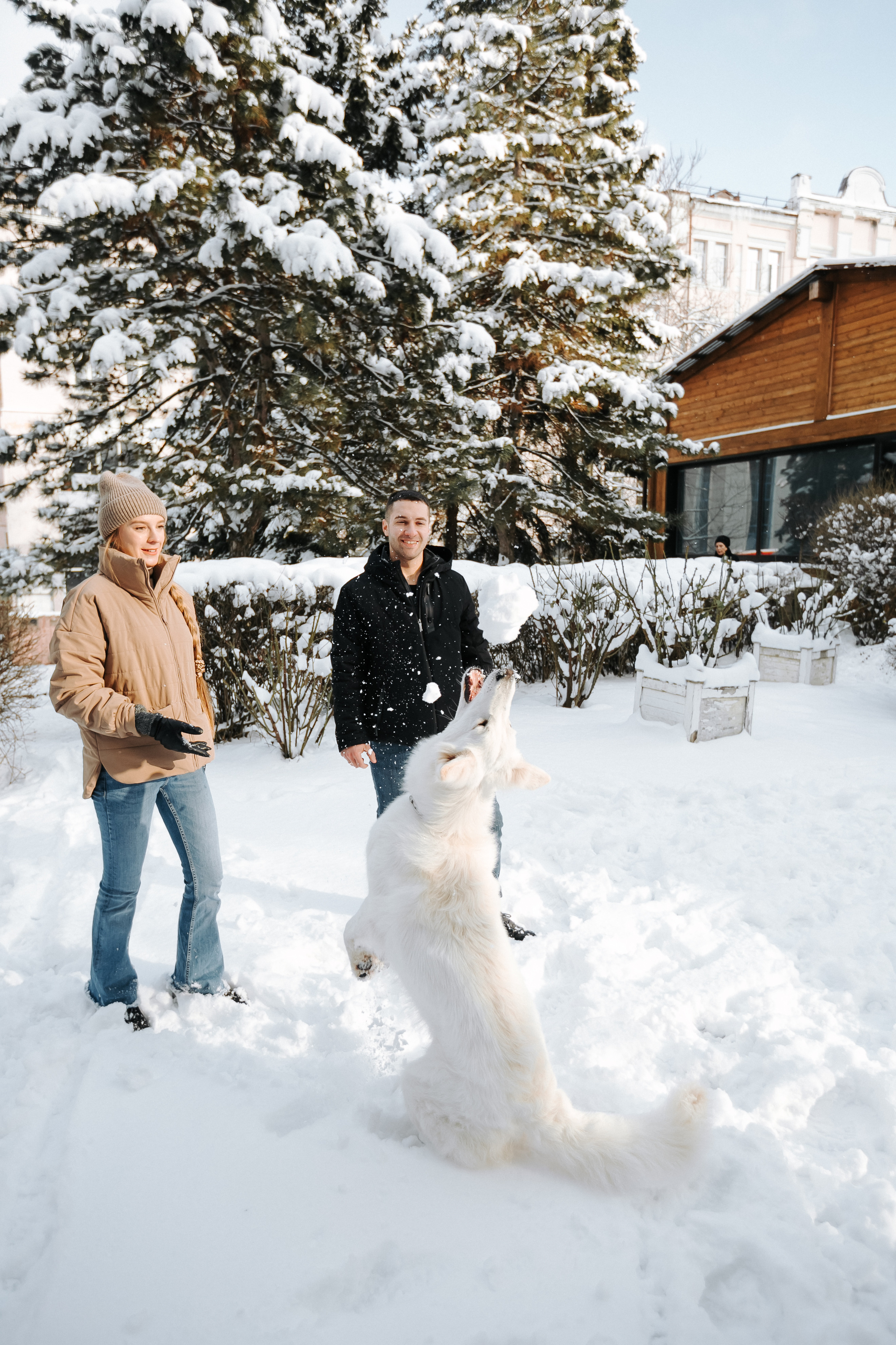 Лапы.Хвост.Снег. Майя Алиева Свадебный фотограф в Санкт-Петербурге