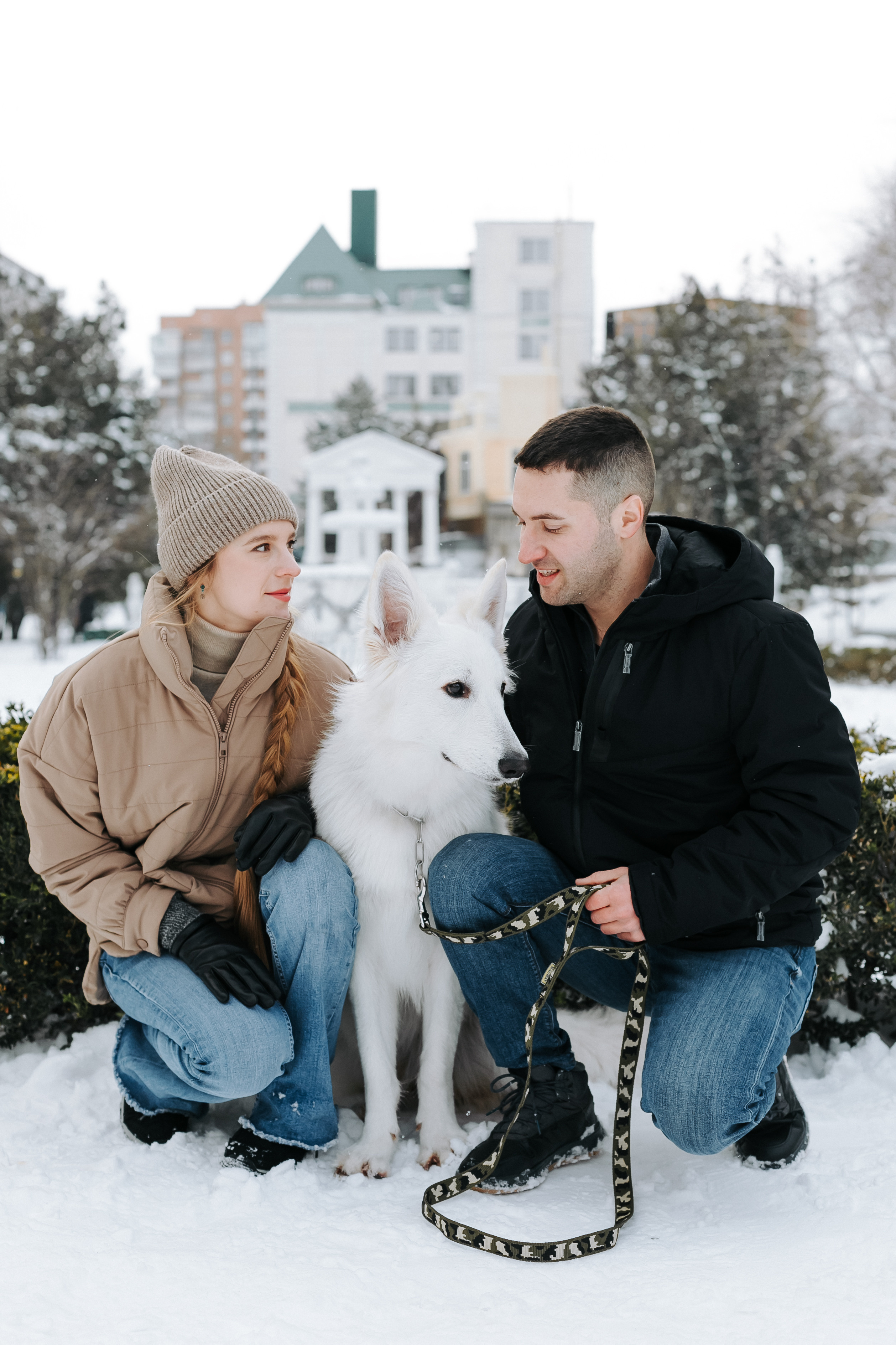 Лапы.Хвост.Снег. Майя Алиева Свадебный фотограф в Санкт-Петербурге