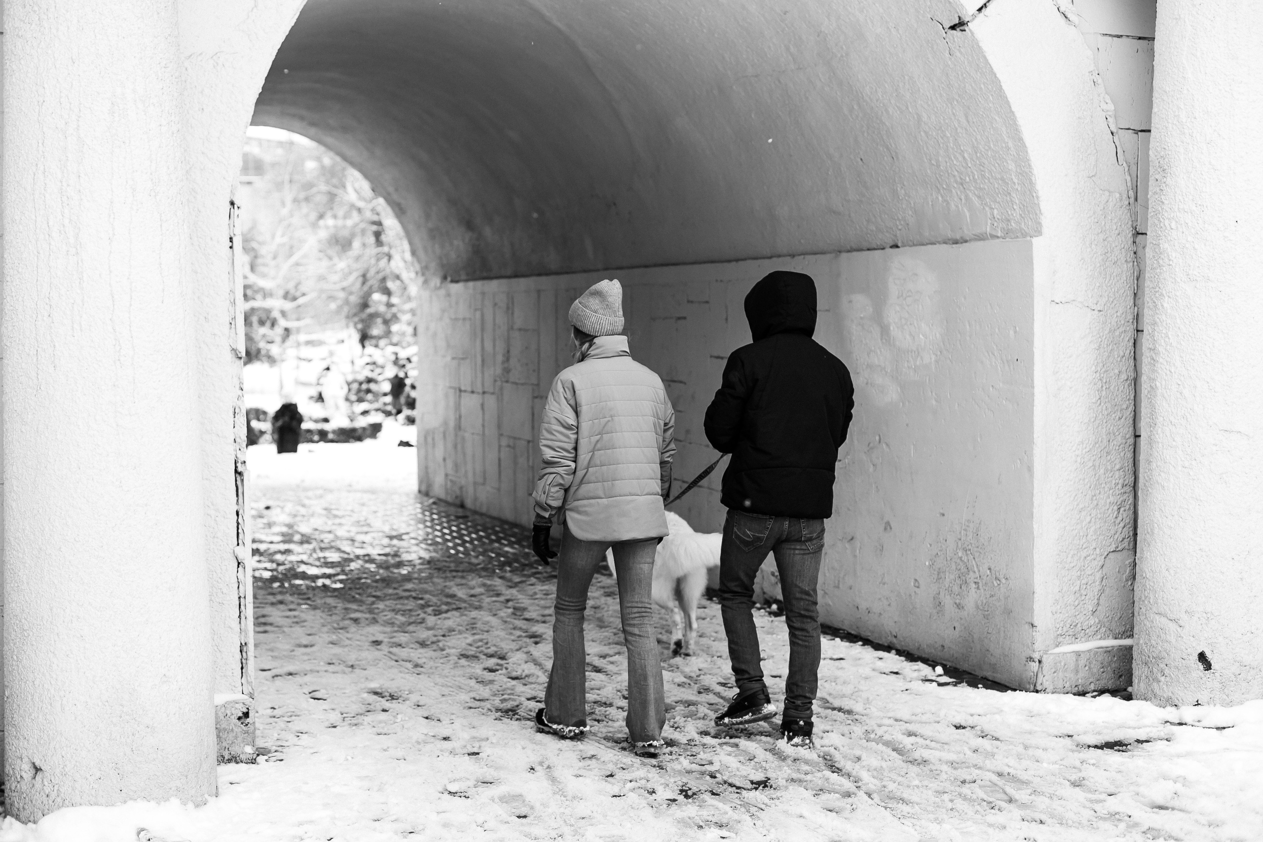 Лапы.Хвост.Снег. Майя Алиева Свадебный фотограф в Санкт-Петербурге