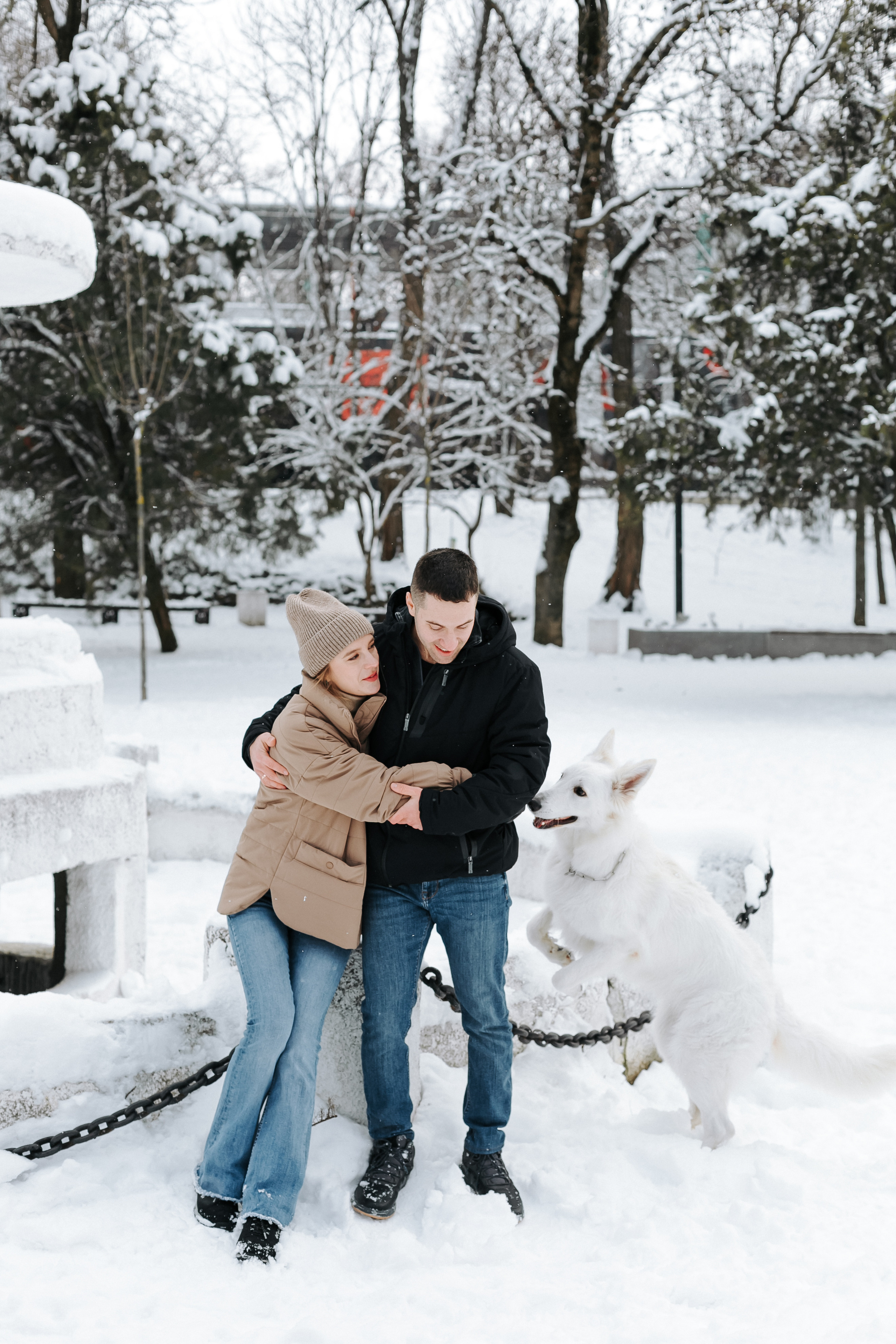 Лапы.Хвост.Снег. Майя Алиева Свадебный фотограф в Санкт-Петербурге