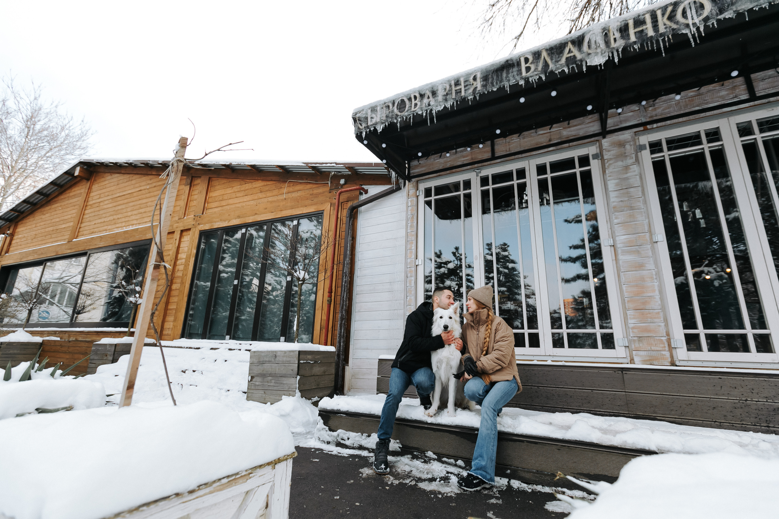 Лапы.Хвост.Снег. Майя Алиева Свадебный фотограф в Санкт-Петербурге