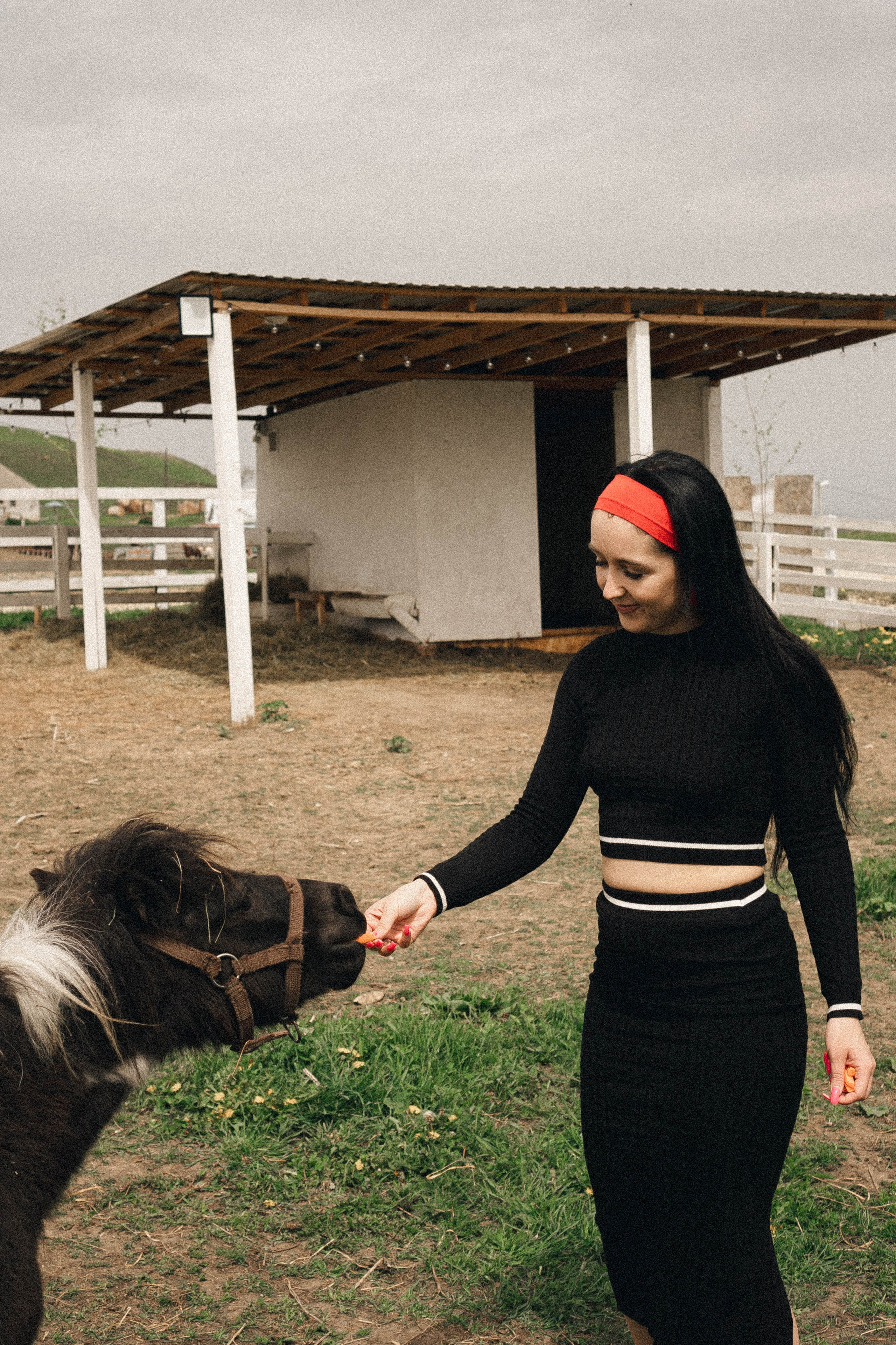 Ферма Альпак. Профессиональный фотограф, Санкт-Петербург — Виктория Богомолова