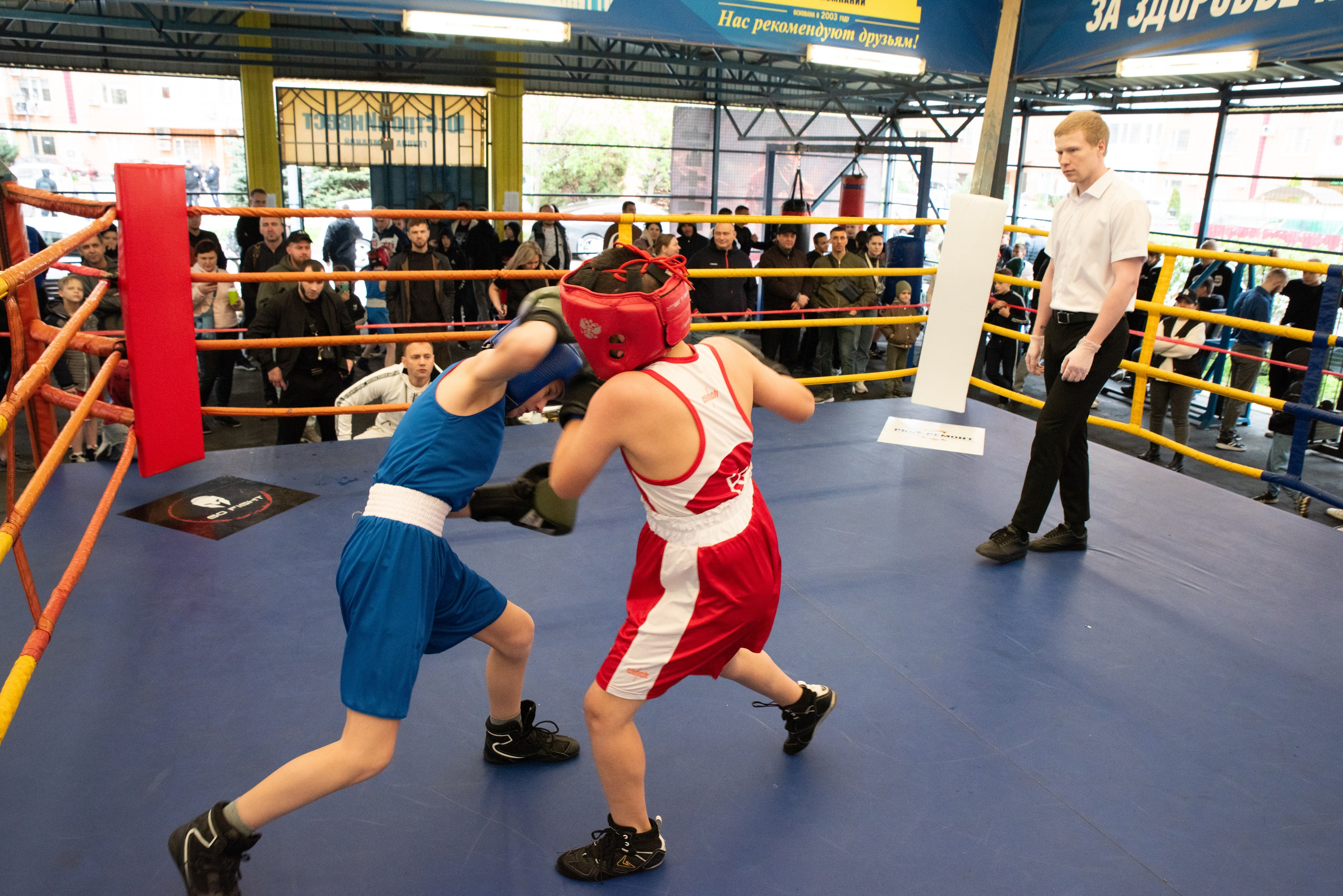 Соревнования GO FIGHT. Фотограф в Краснодаре Анна Карелина