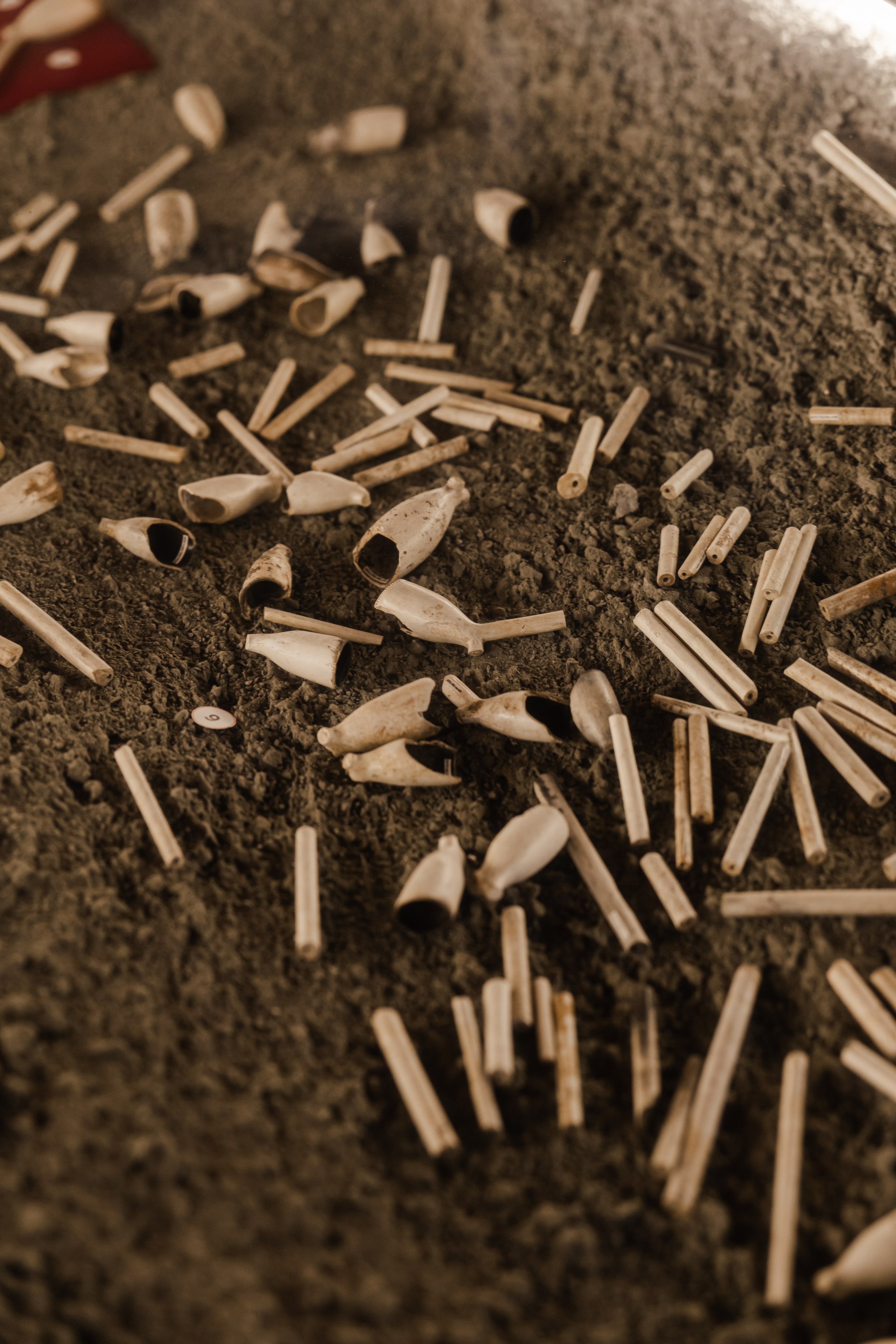 Репортажная и контент съемка. Портретный и Семейный фотограф в Санкт-Петербурге Rocket Alice