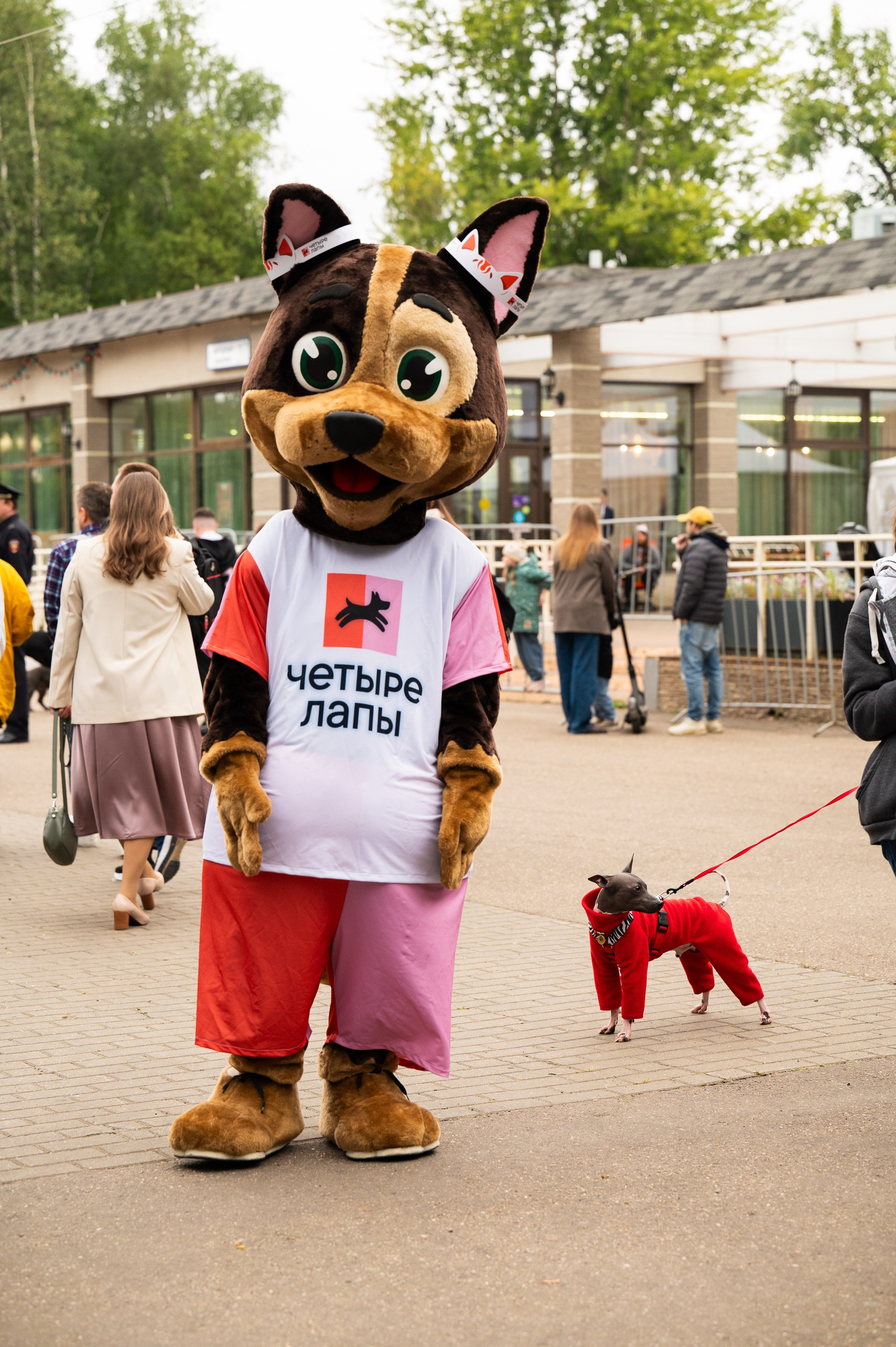 4lapy fest 2025. Photographer in Moscow Anna Chistiakova