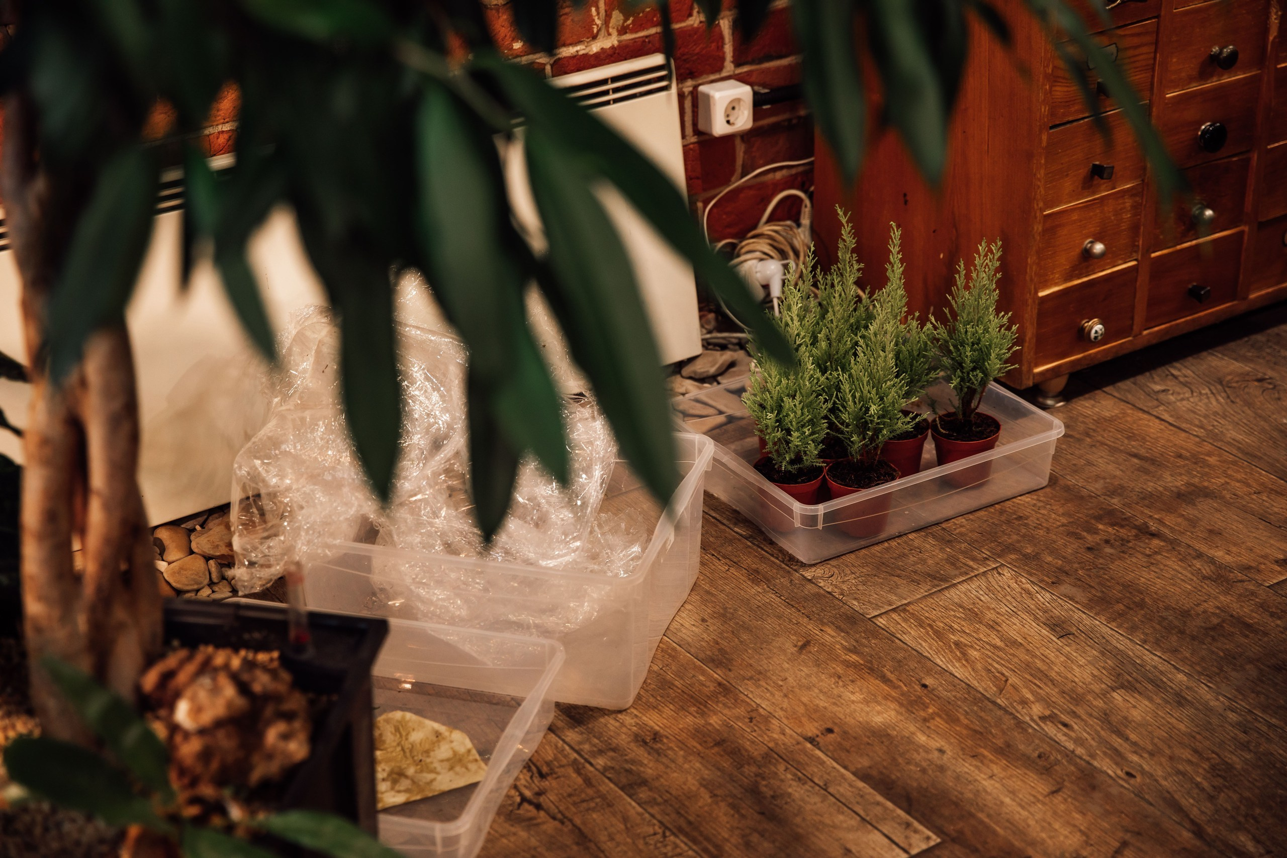 МК в GREENSTUDIO. Семейный и ивент фотограф в Москве Мария Маликова