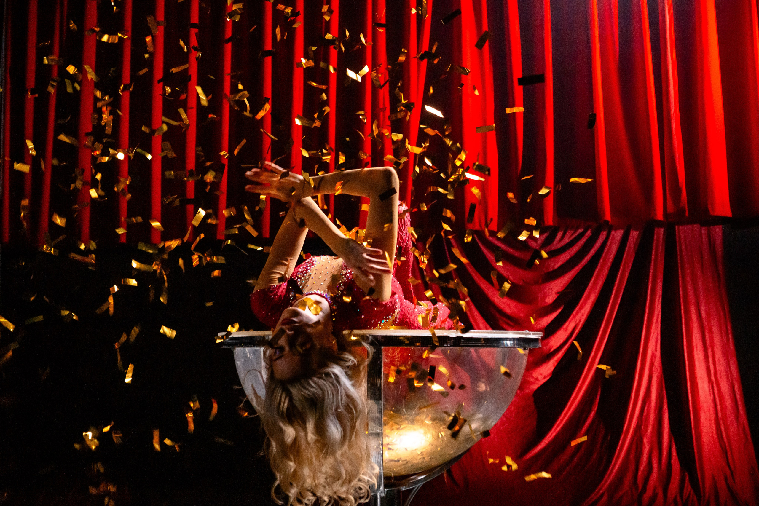 Цирковое шоу. Видеограф Добромыслов