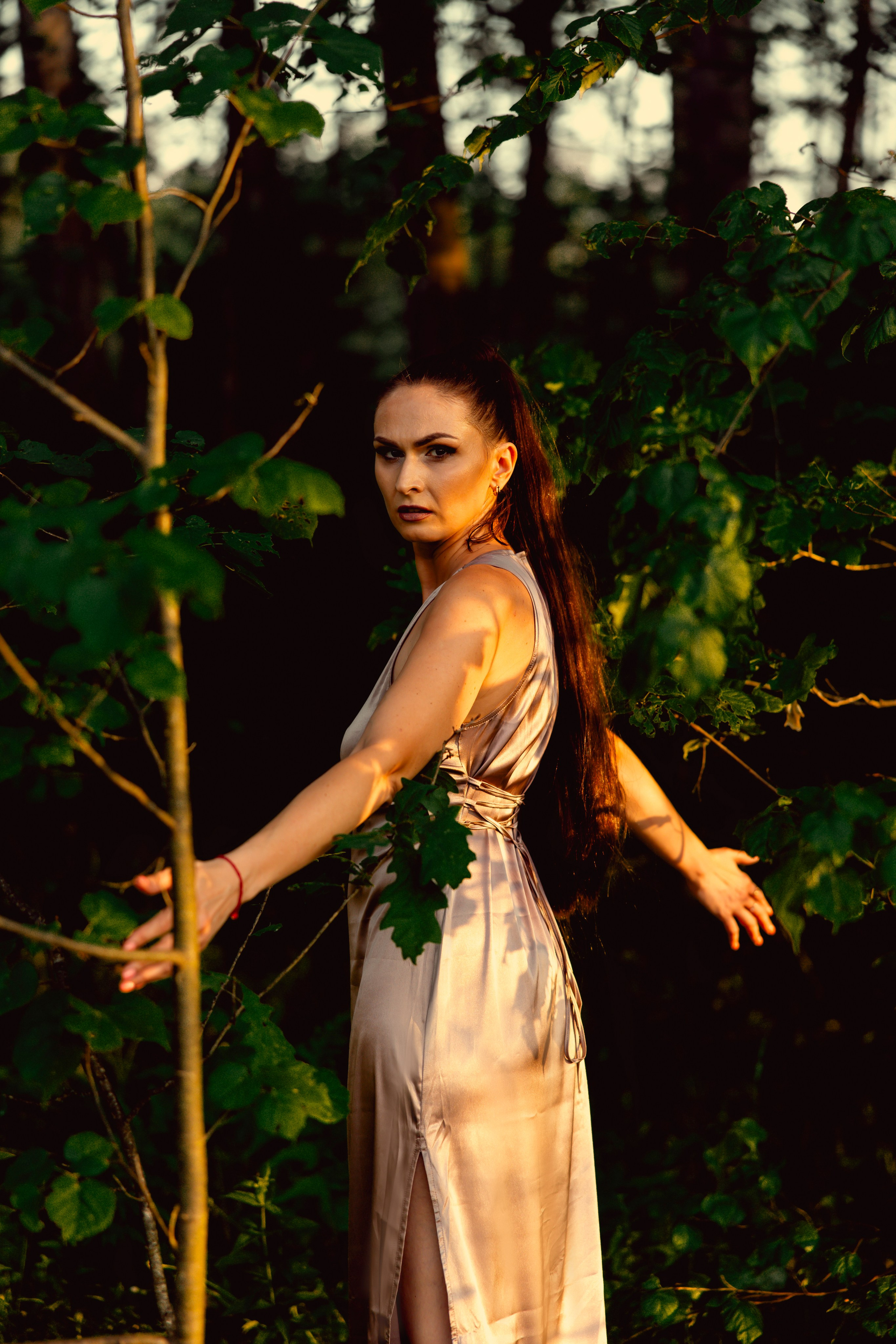 Древесные узоры. Сказочный фотограф для Вас и Вашей семьи