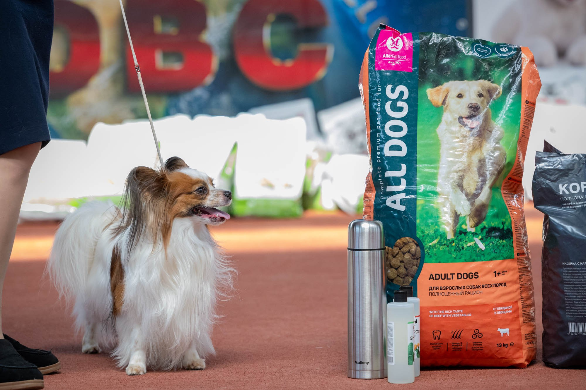 IDBC. Виктория Михайловская. Фотограф-анималист. Москва