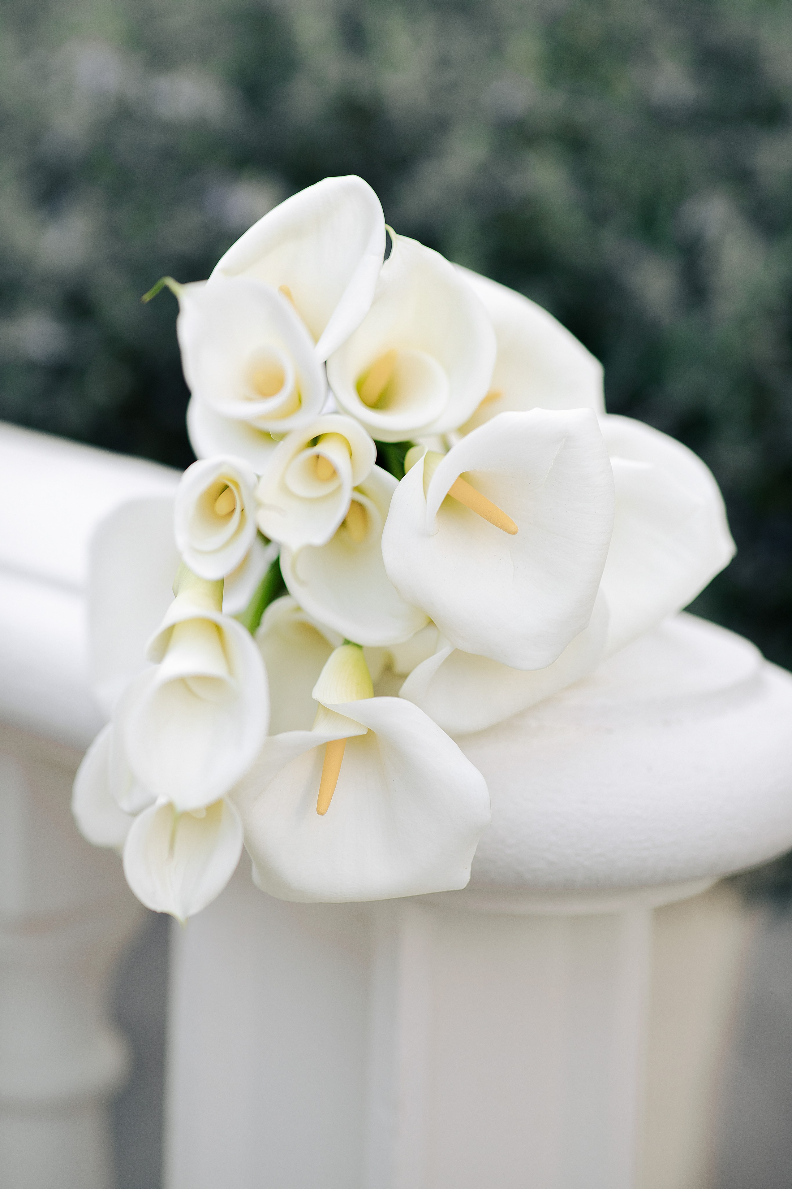 Сергей и Елена. Свадебный фотограф Ростов-на-Дону Виолетта veslers.ph