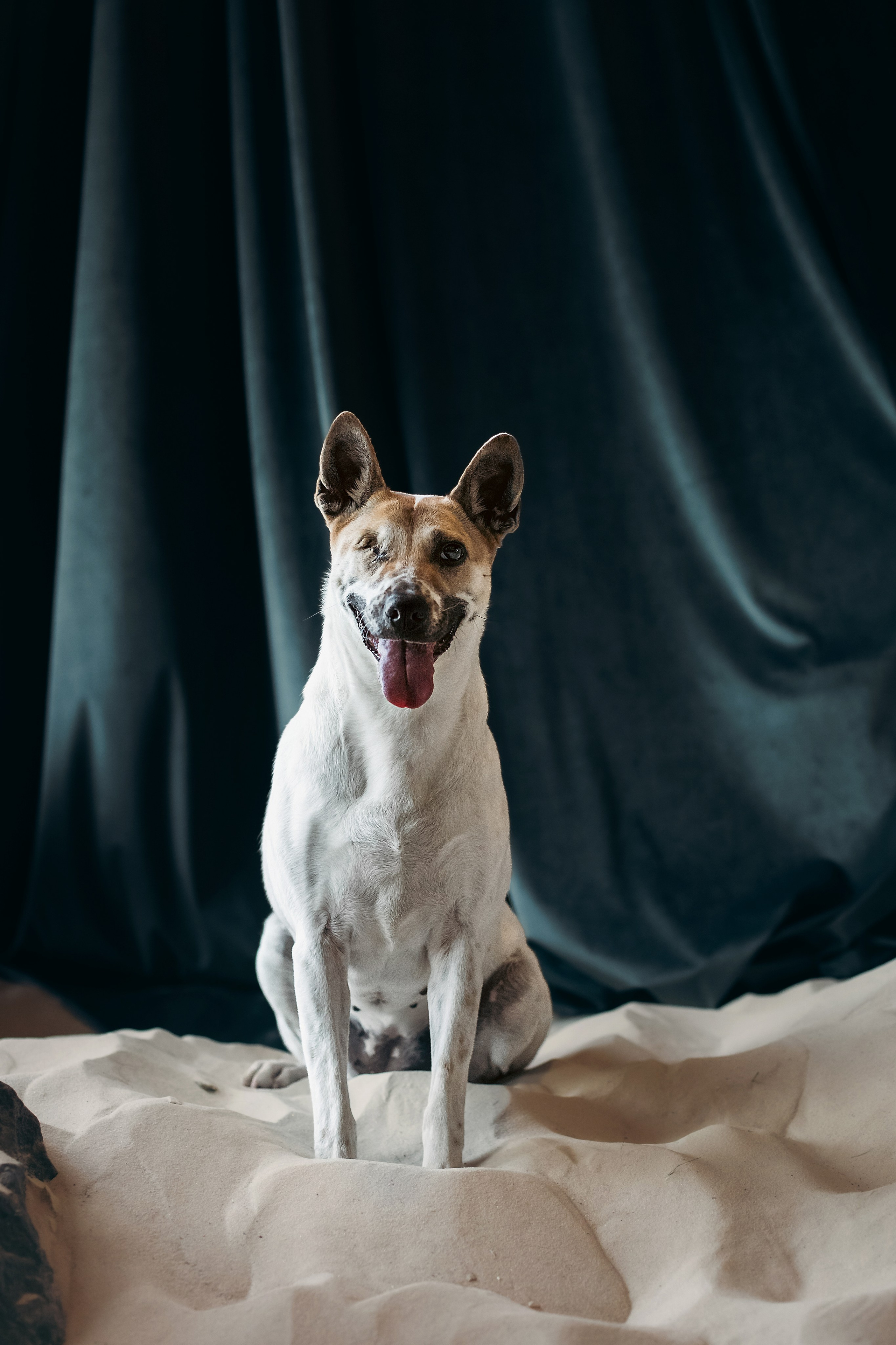 Полина и Альвильда. Фотограф-анималист Татьяна Степанова