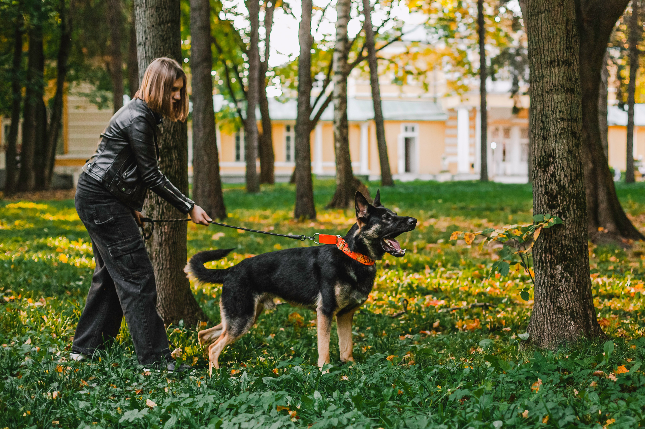 Илай. Фотограф-анималист Татьяна Степанова
