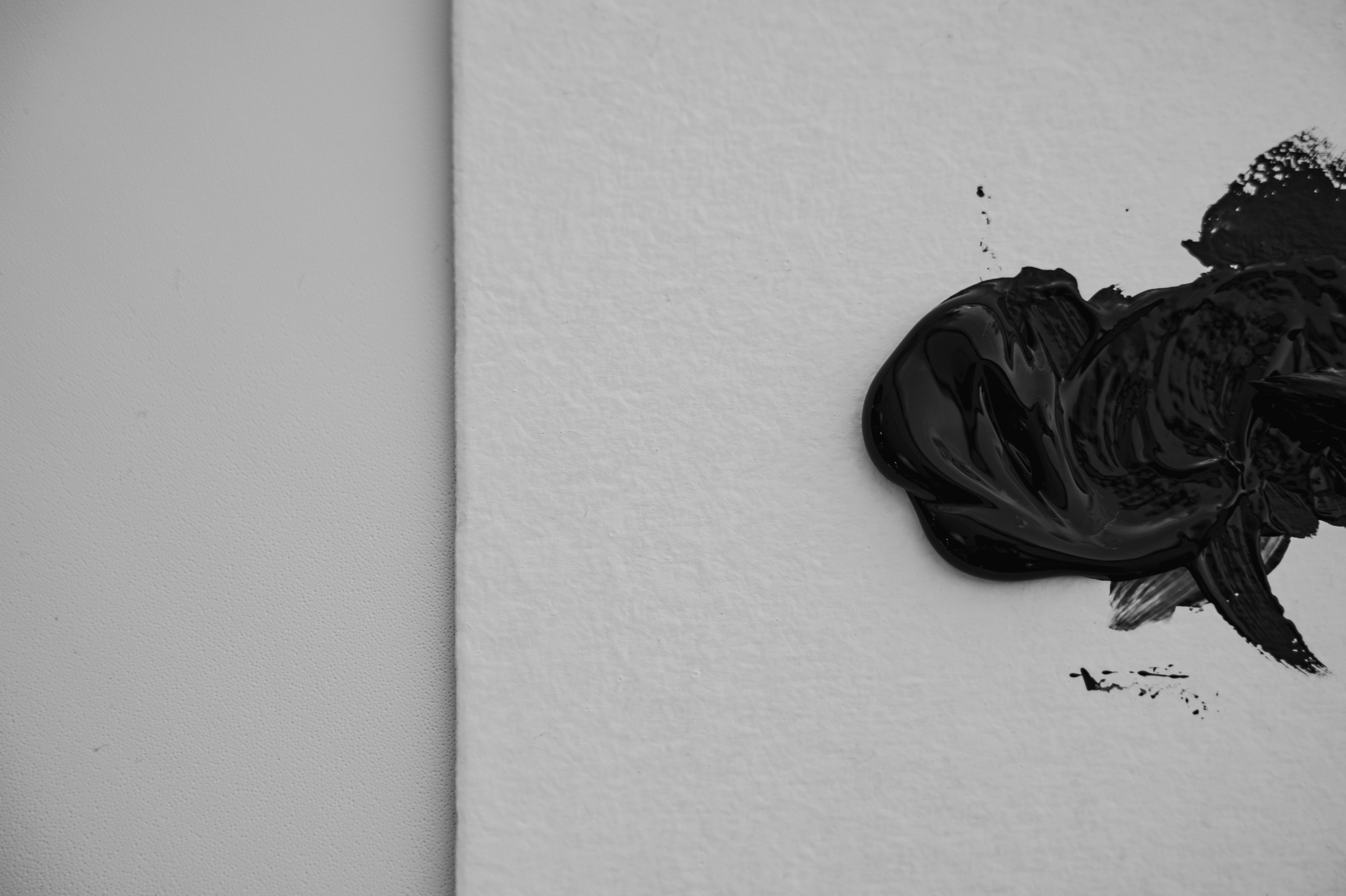 Открытие Мэри Трюфель. Свадебный фотограф в Новосибирске Алена Цизман