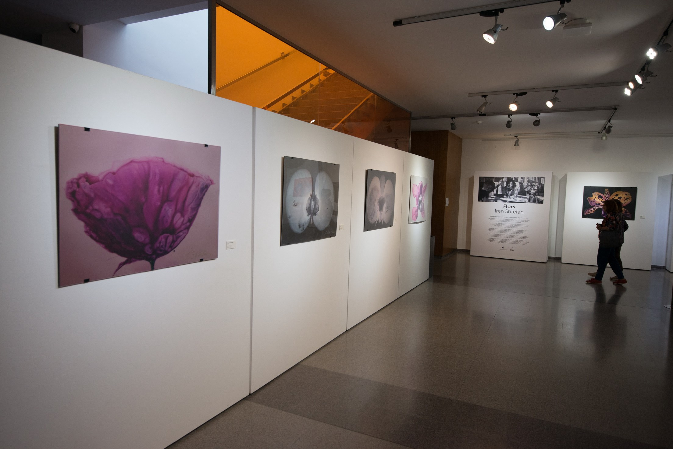 Exposición de Arte Abstracto. Fotógrafo Aleksandr Rybintsev