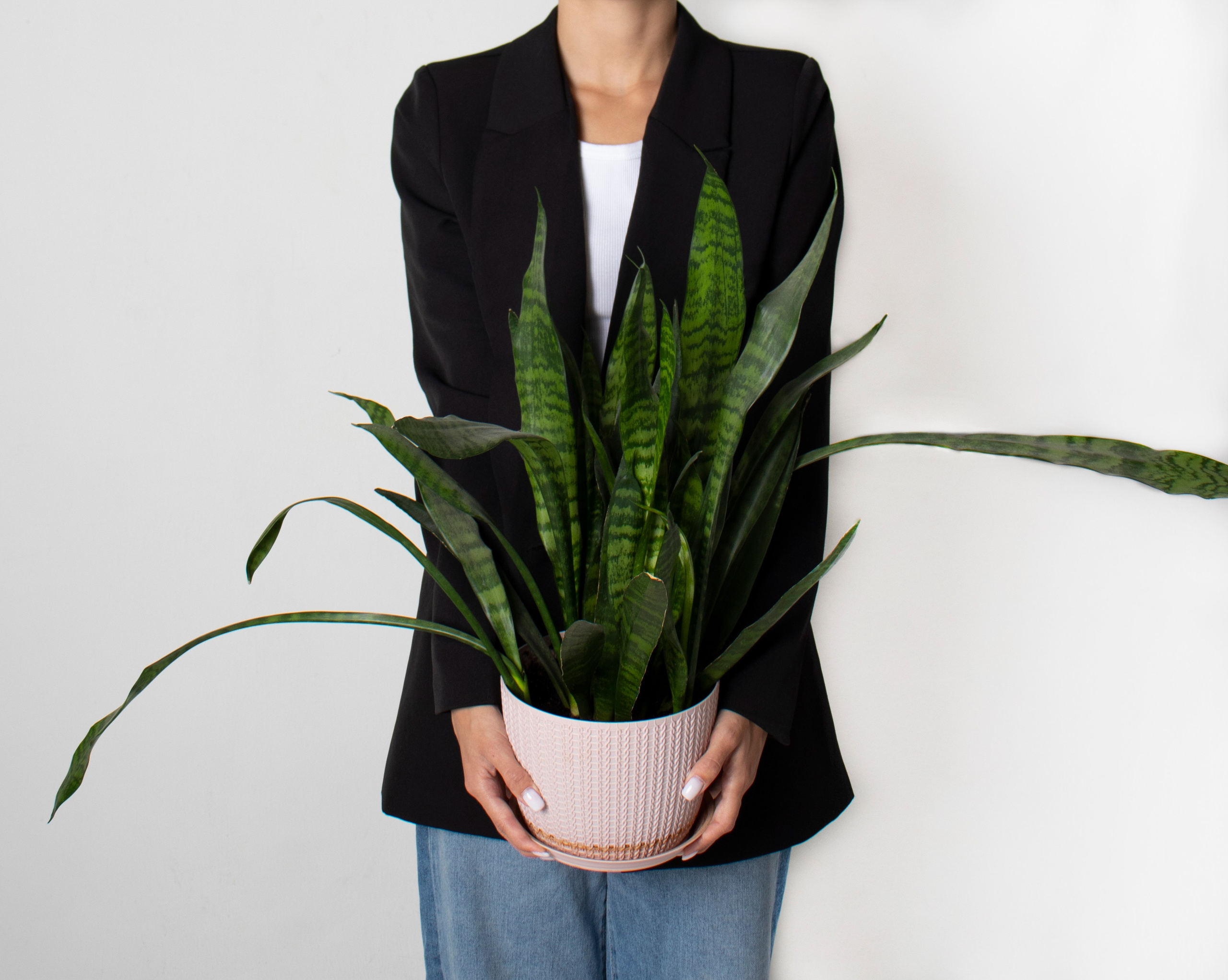 Картинки. Сандра Ковалева | ЧБ фотограф