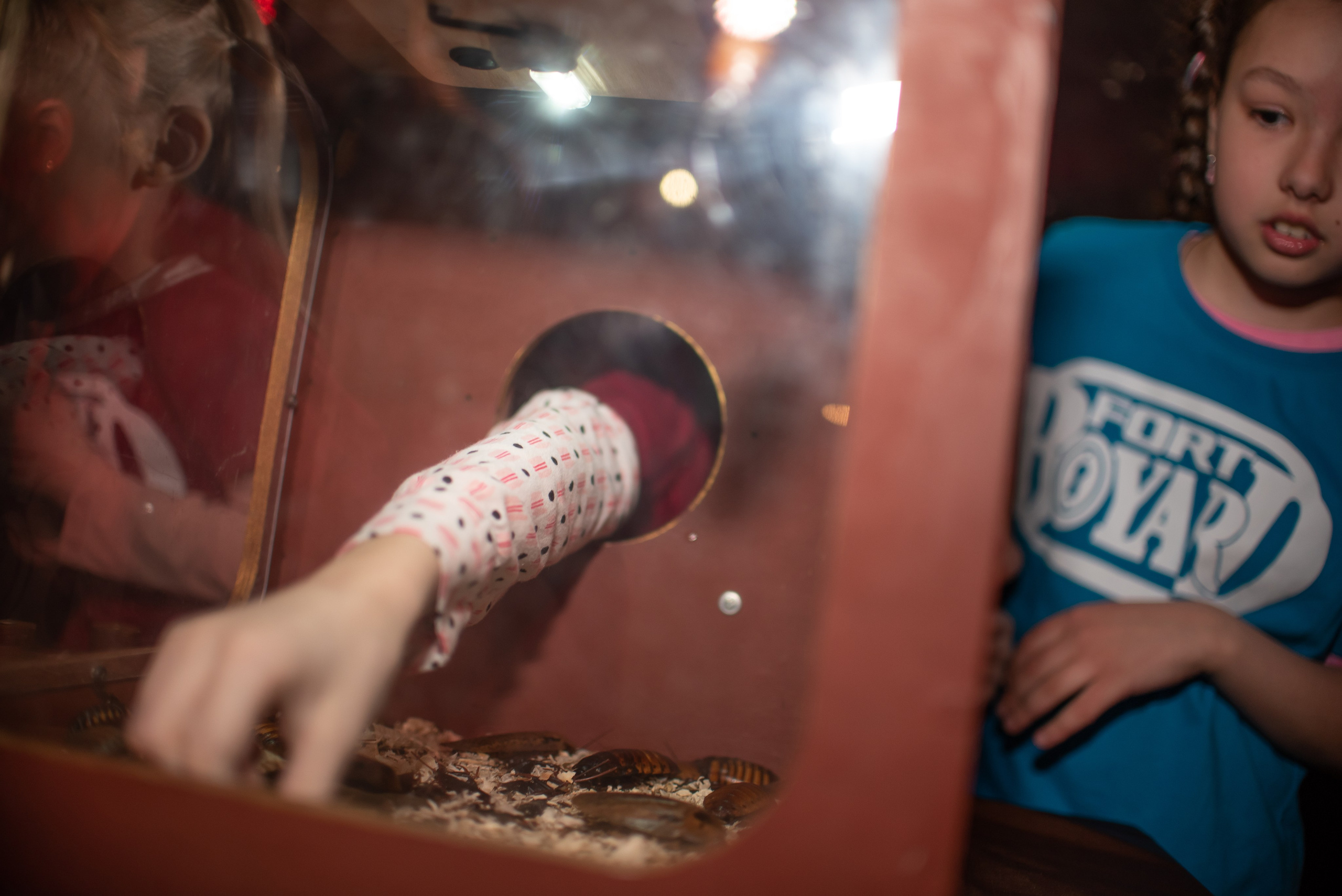 Фотограф на День Рождения. Фотограф Макс Огурцов в Нижнем Новгороде