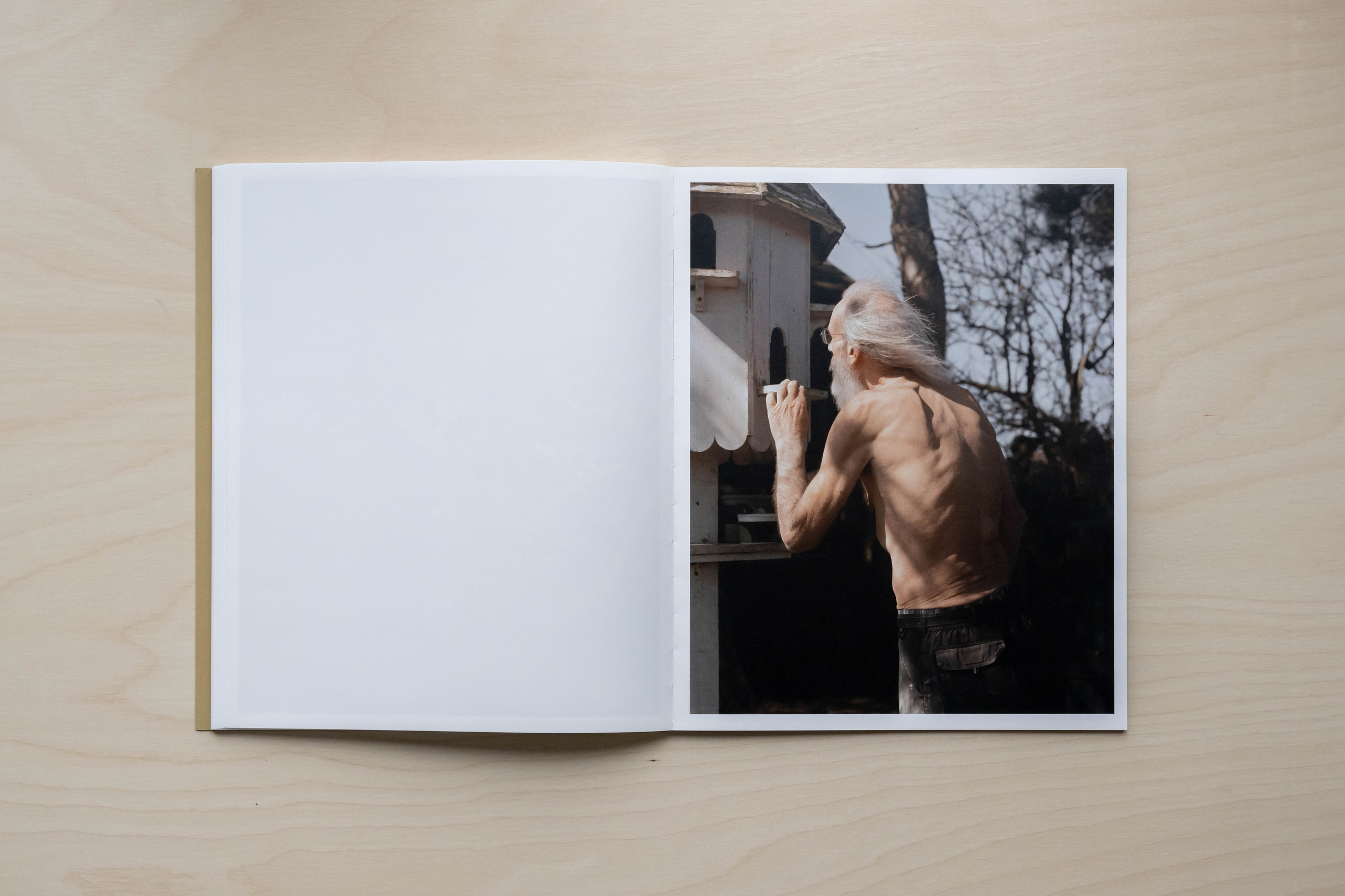 Книга Макса Меховски (Max Miechowski) «Land Loss». Private image