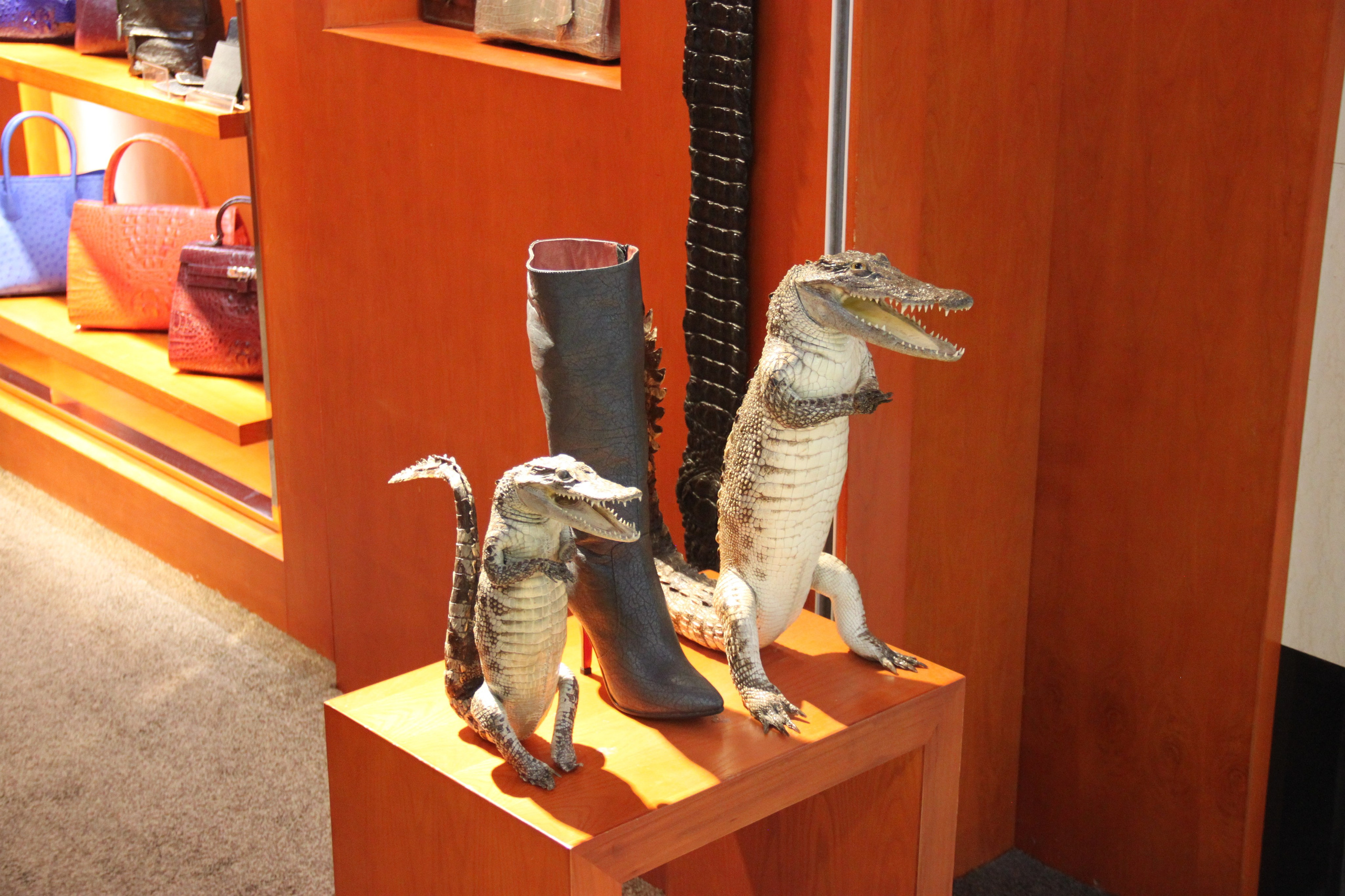 Shanghai, China. Andrey Filippov Photographer