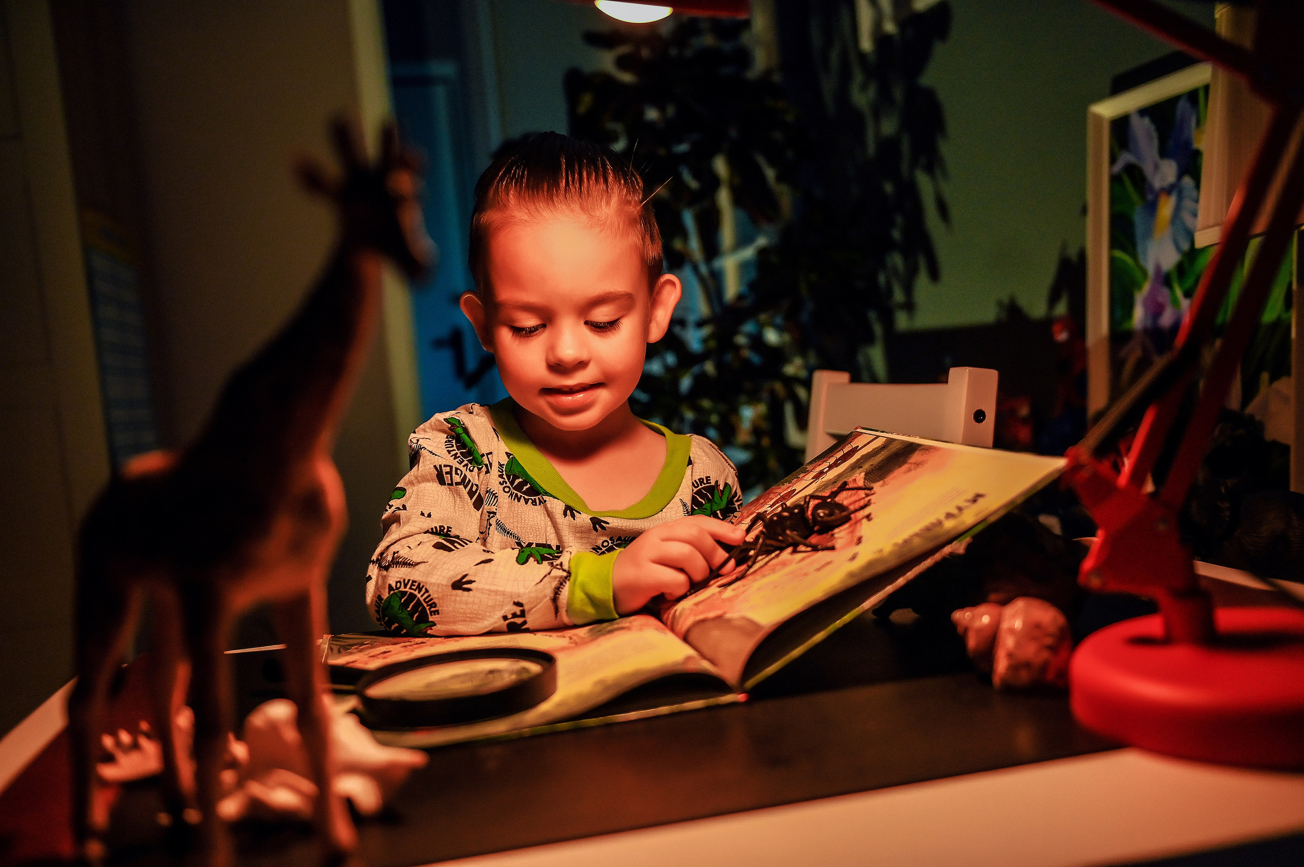 Детская домашняя кабинет натуралиста. Свадебный, семейный, детский, контент фотограф в Омске Максим Ильин