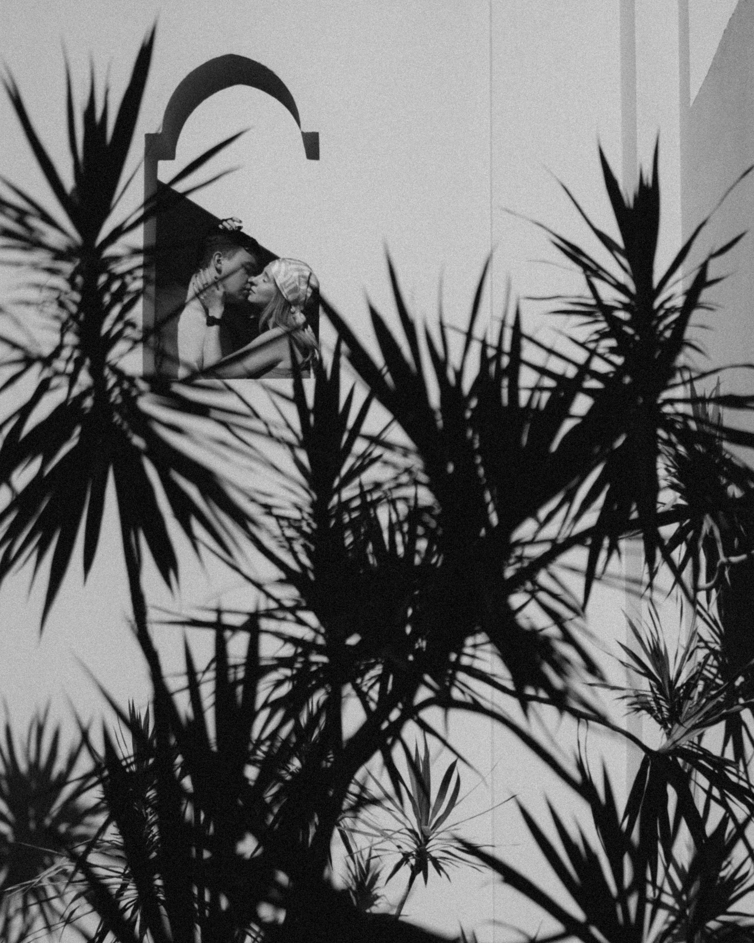 Арабика. Никита Погосов