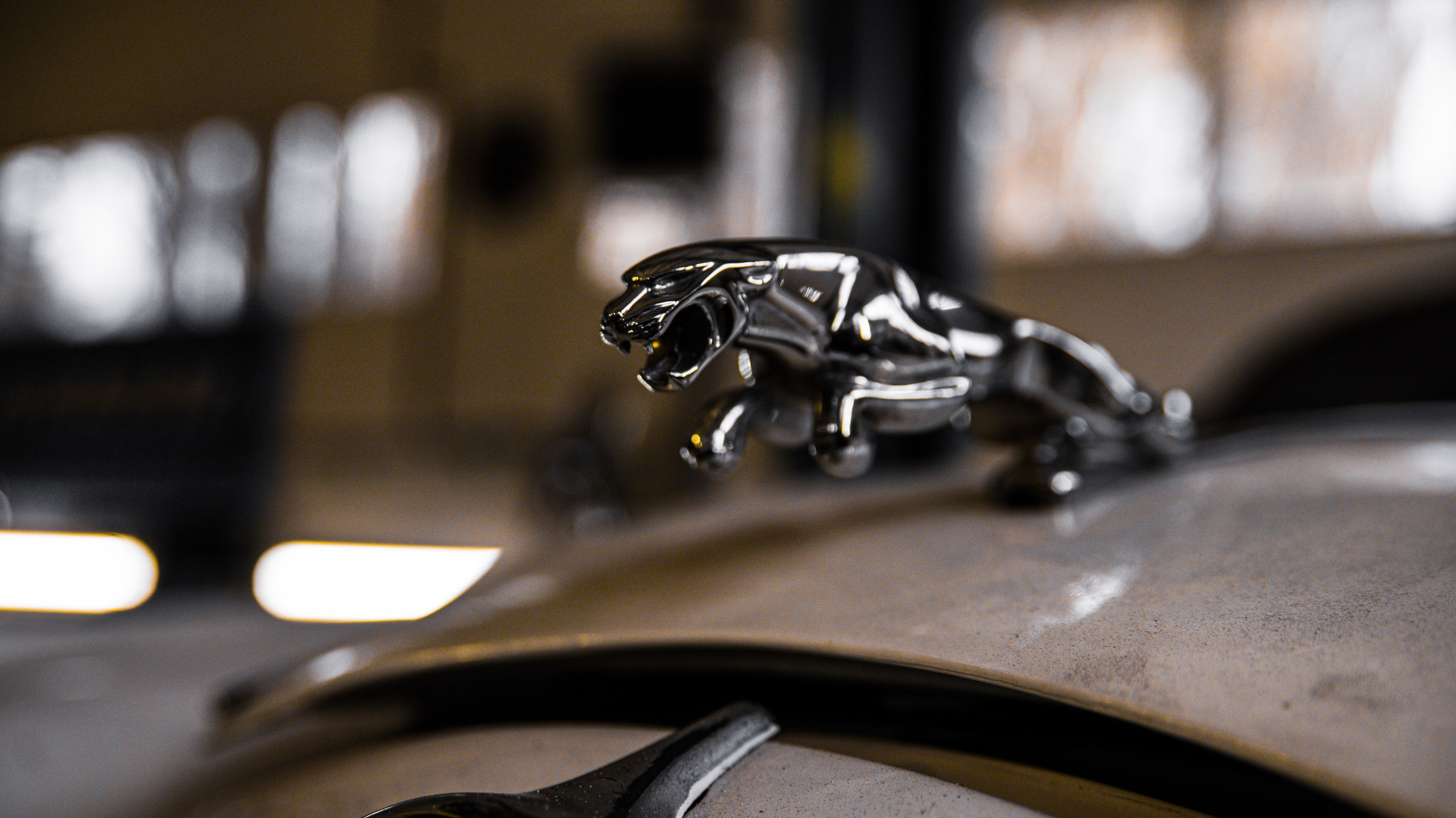 Еда, маркетплейсы, предметные и контент снимки. Репортажный фотограф в Калининграде Морозов Кирилл