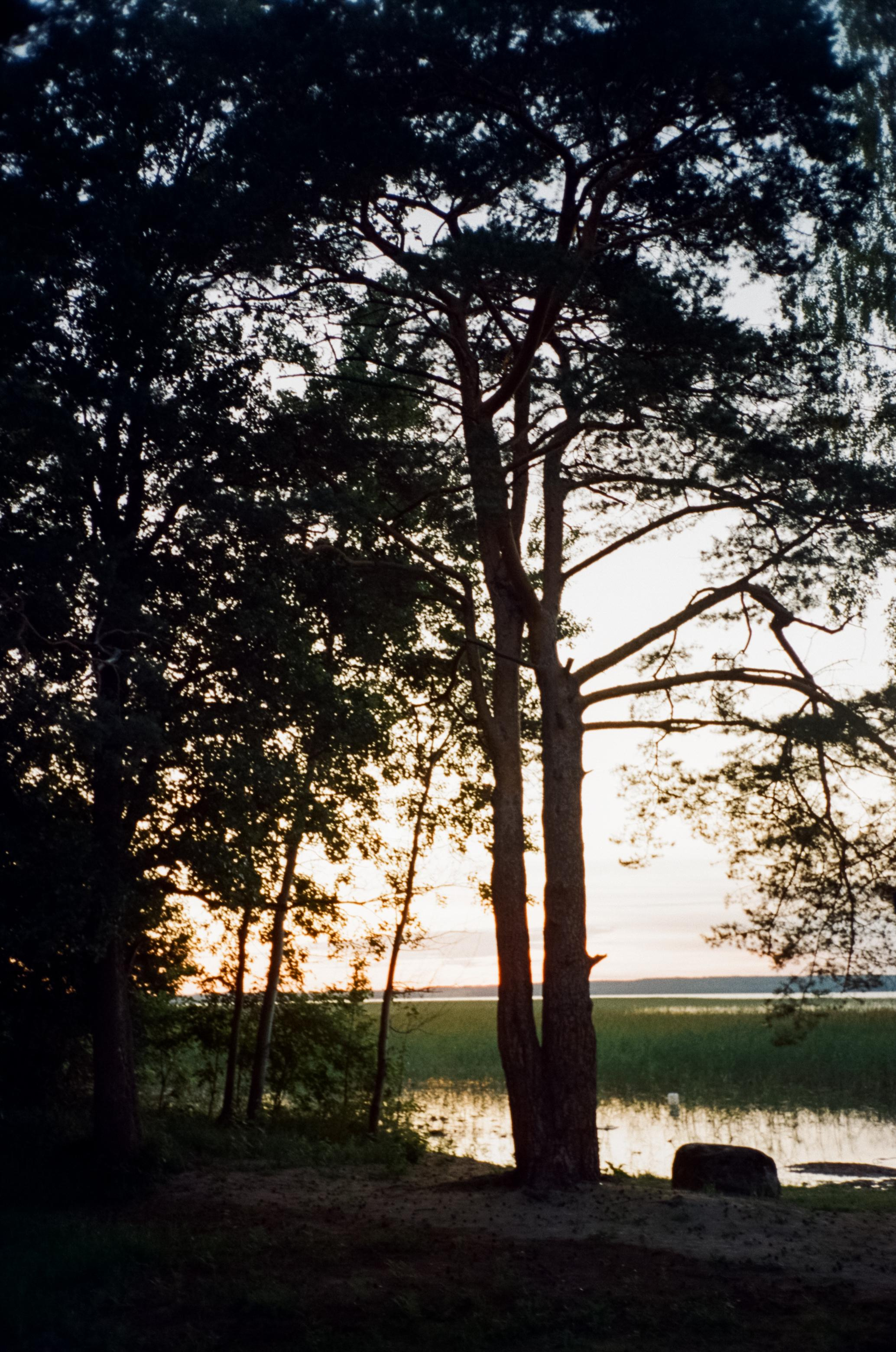 Восход на озере Отрадное, ДубльДом и блики солнца на воде. Фотограф-документалист Мария Осокина