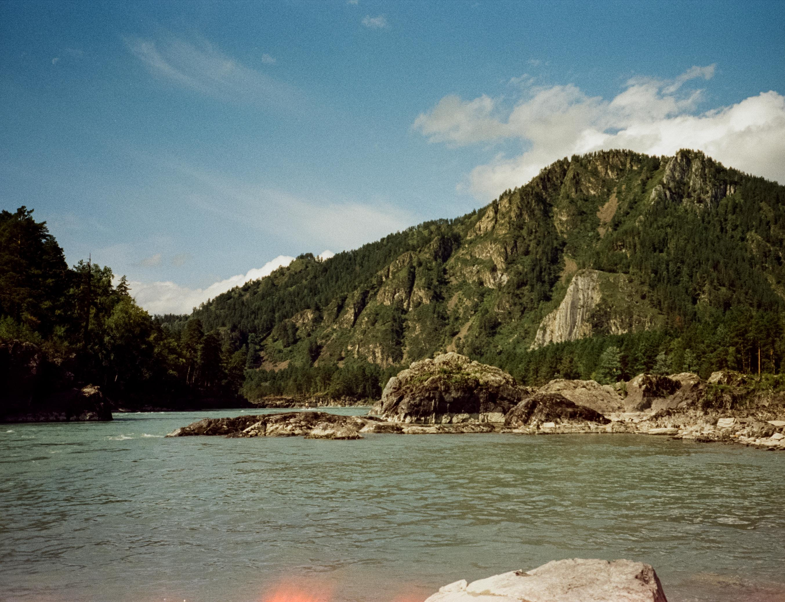 Катунь, острова и сосны в солнечный день. Фотограф-документалист Мария Осокина