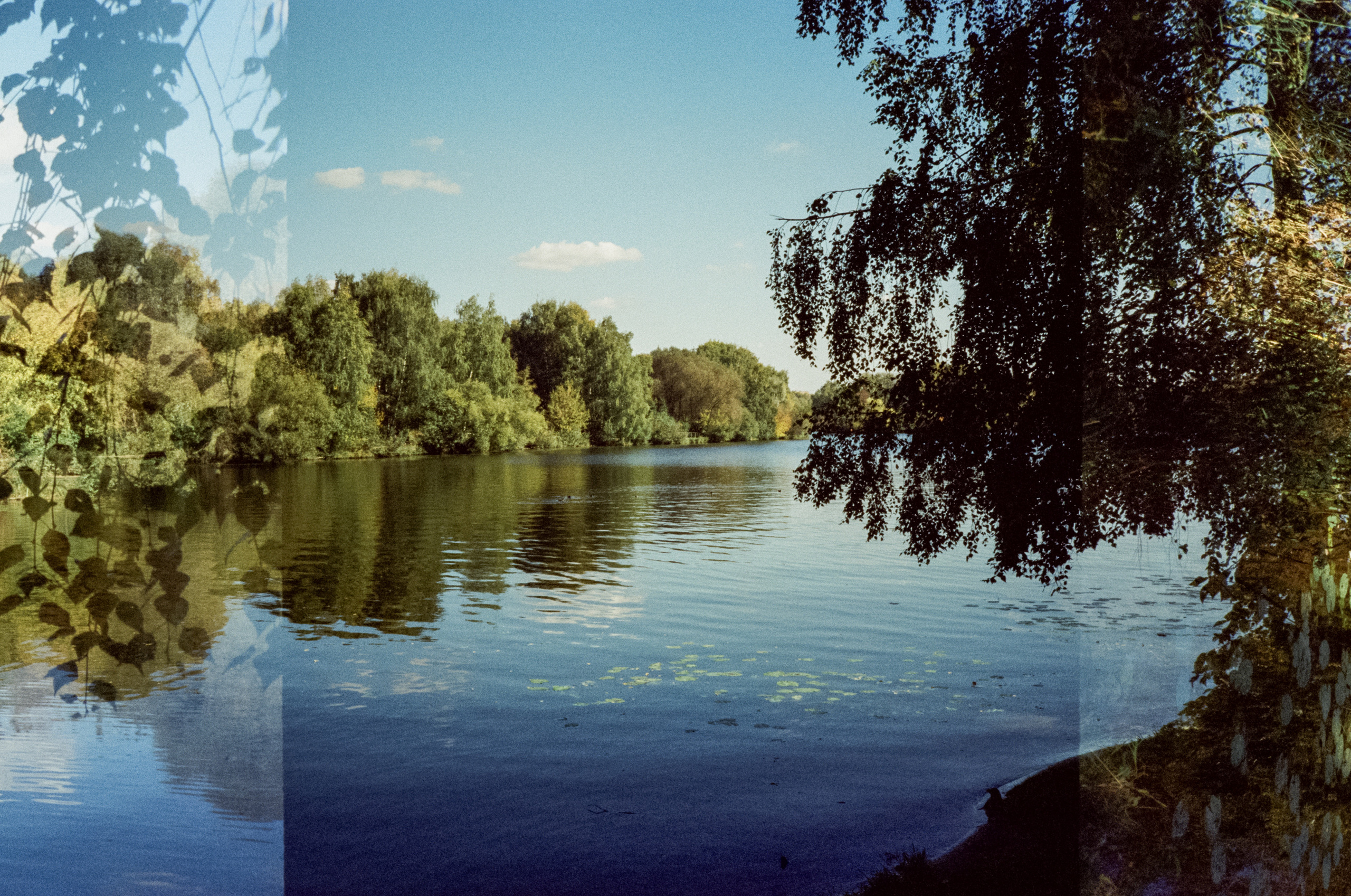Строгинский залив. Золотая осень. Фотограф-документалист Мария Осокина