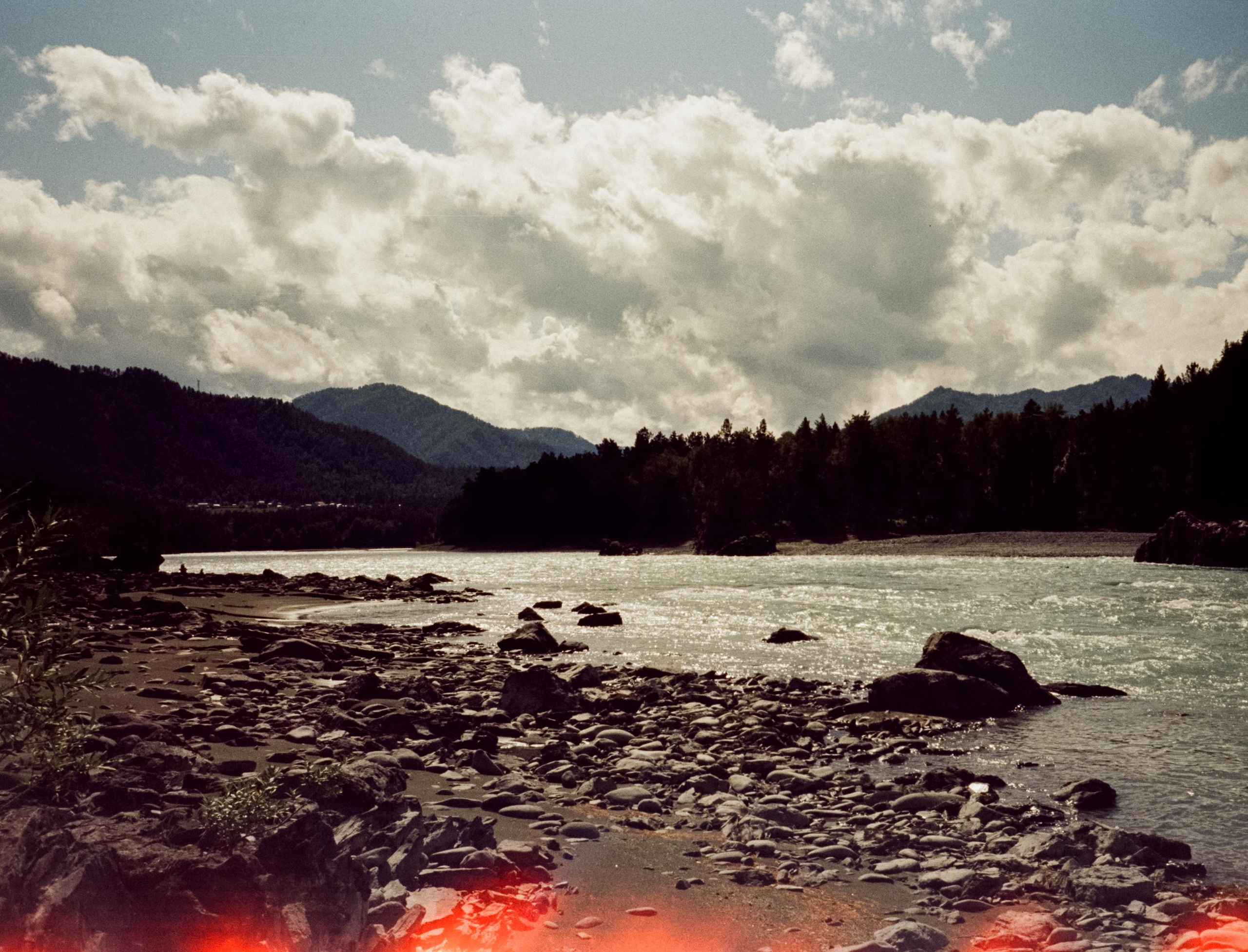 Катунь, острова и сосны в солнечный день. Фотограф-документалист Мария Осокина