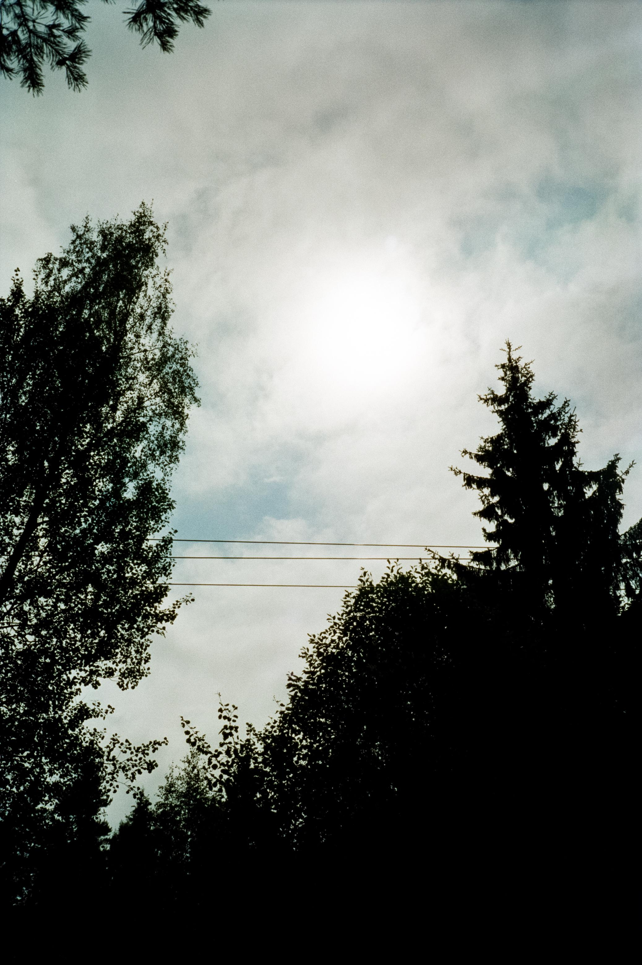 Дача. Лето. Август. Фотограф-документалист Мария Осокина