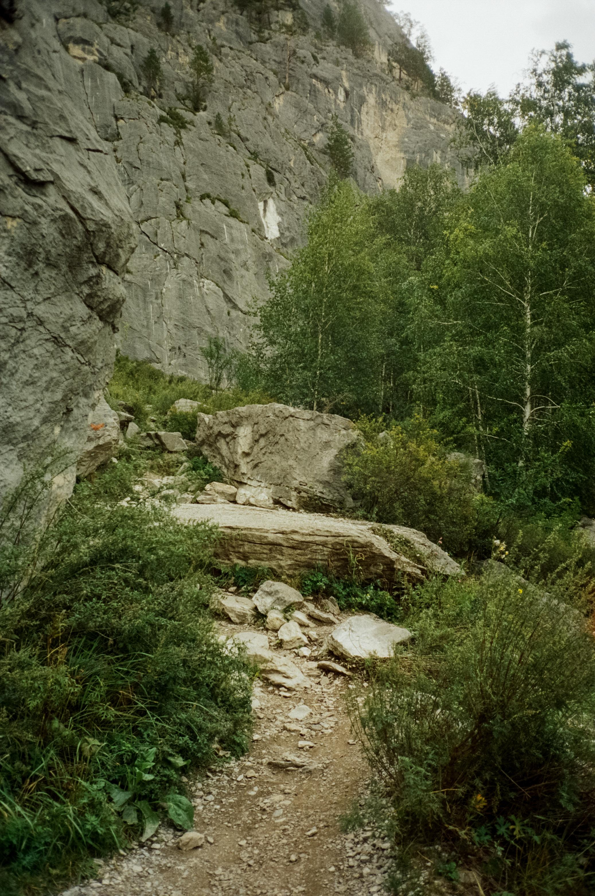 Урочище Чечкыш. Виды на Заячий остров и Разбитое сердце Катуни. Водопа. Фотограф-документалист Мария Осокина