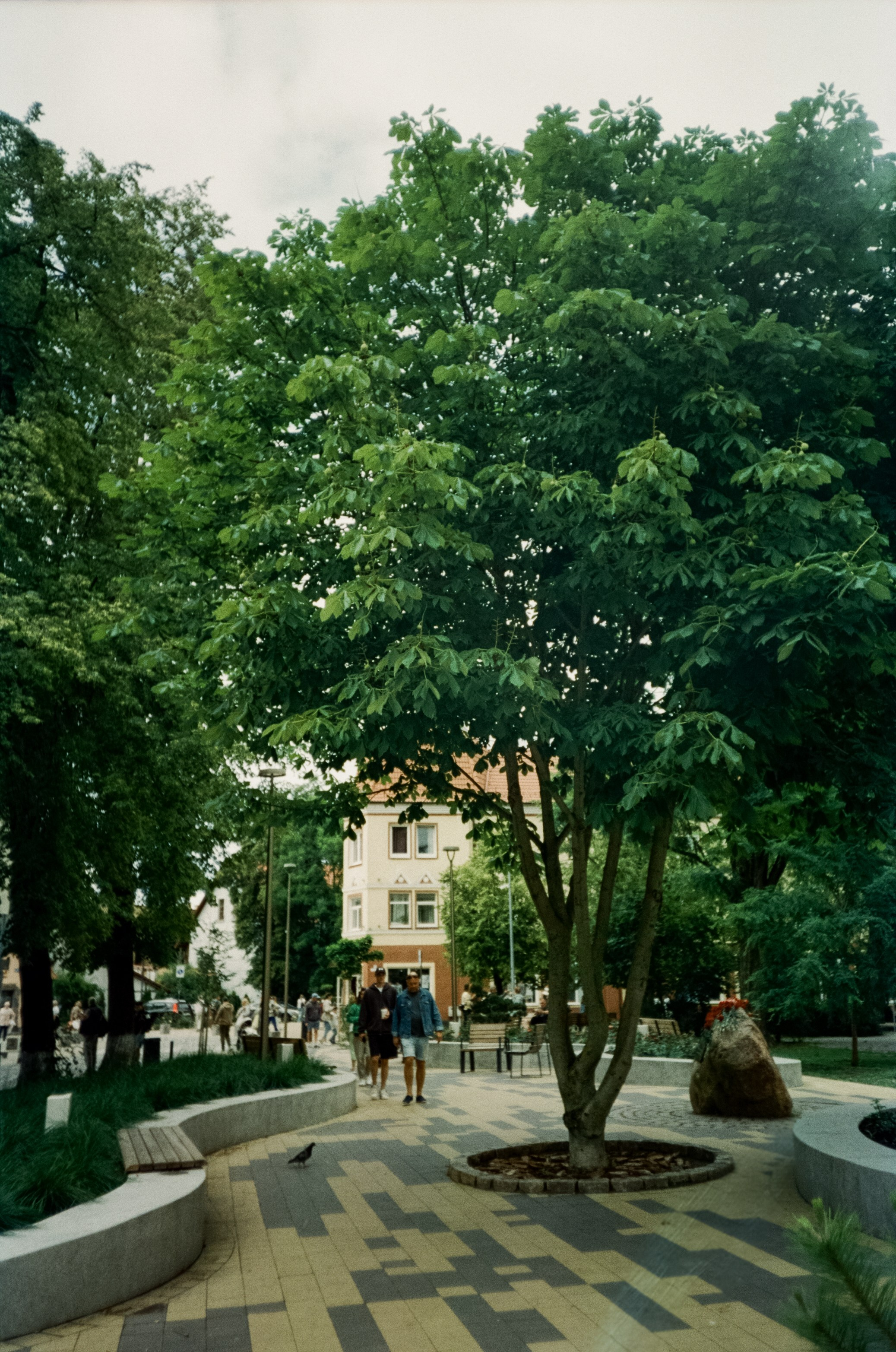 Курортный проспект и коты Зеленоградска, маяк и Safe Coffee. Фотограф-документалист Мария Осокина