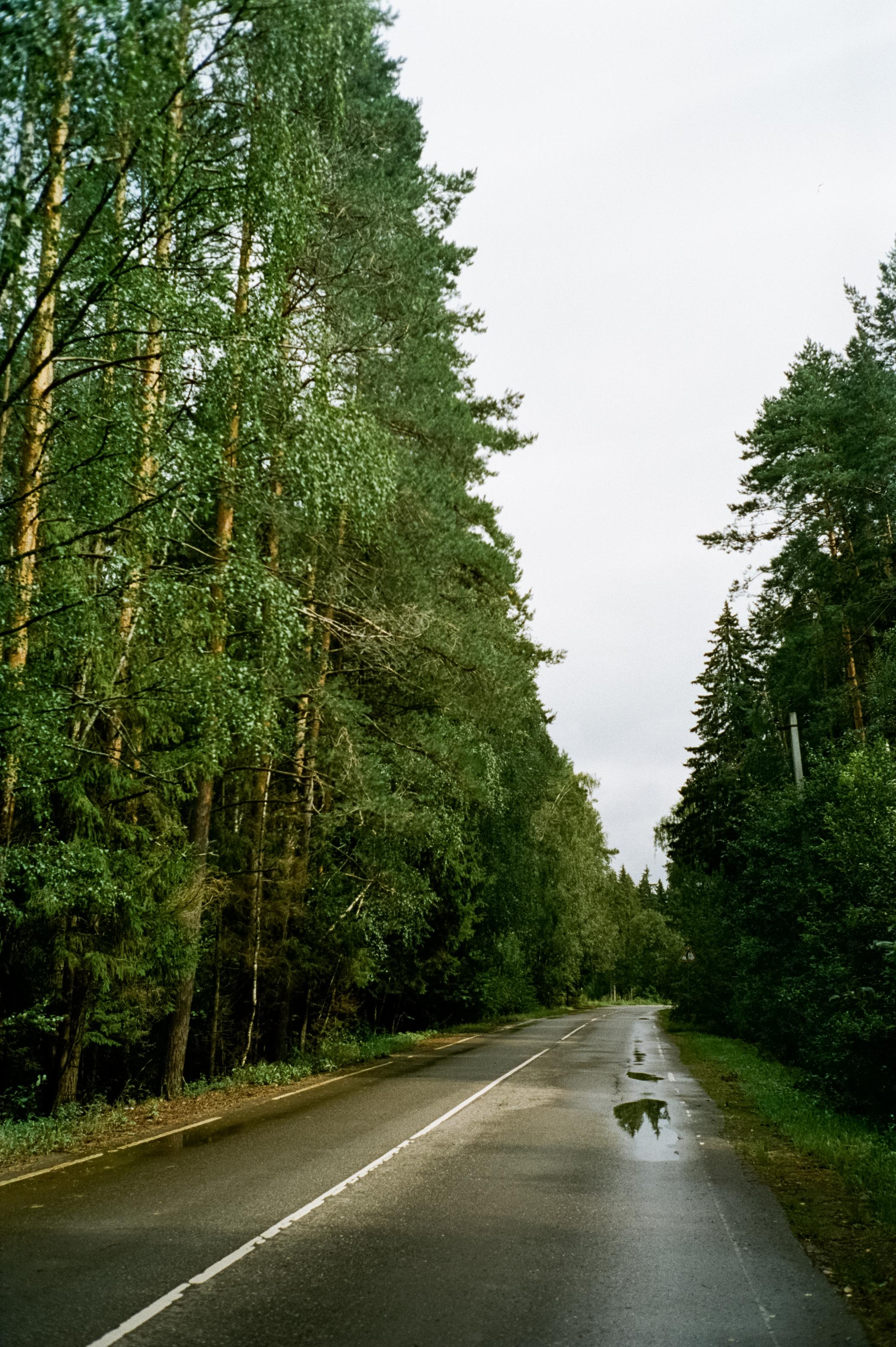 Дача. Лето. Август. Фотограф-документалист Мария Осокина