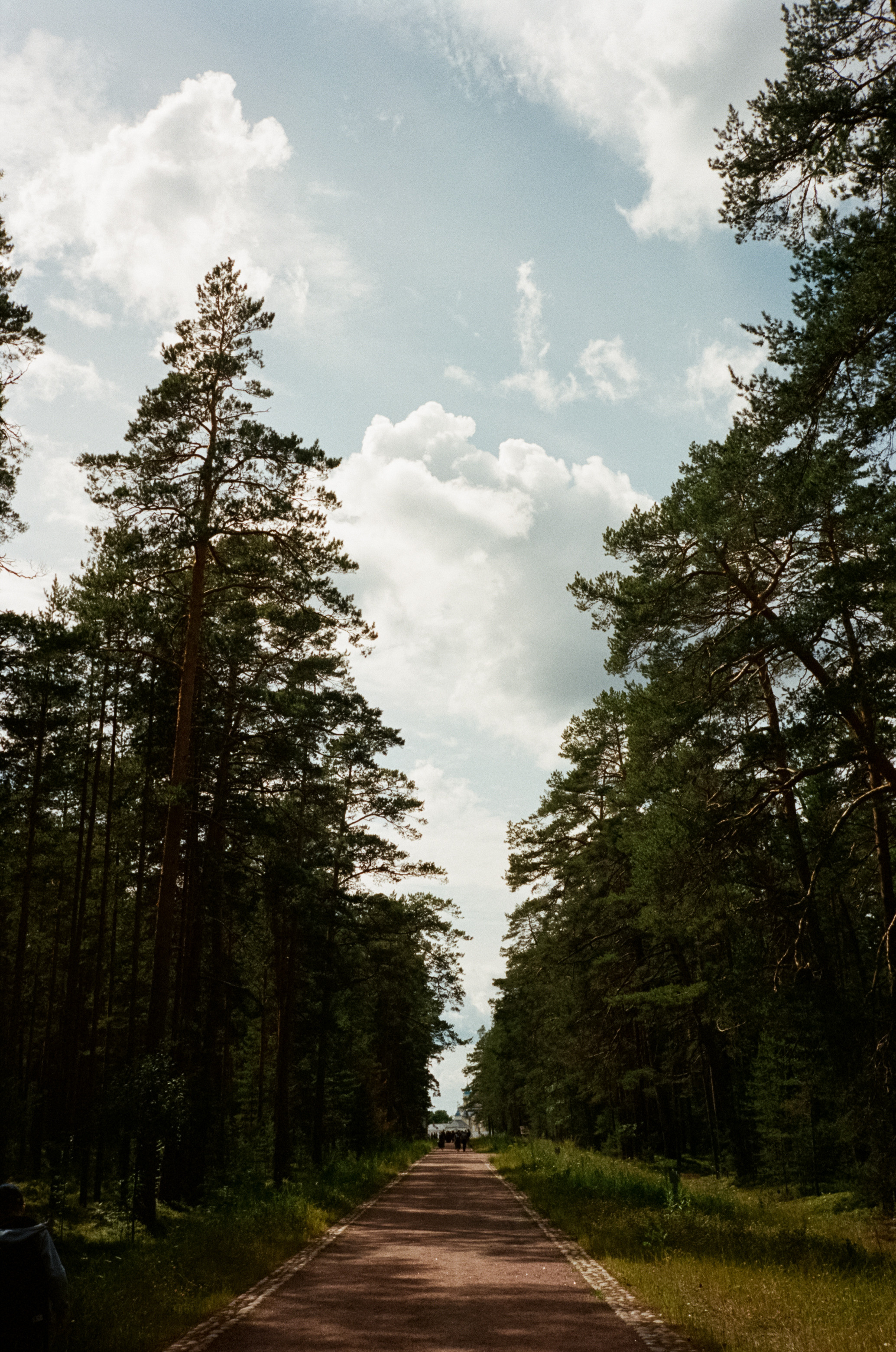 Остров Коневец. Конь-камень, берег Ладоги и Святая гора. Фотограф-документалист Мария Осокина