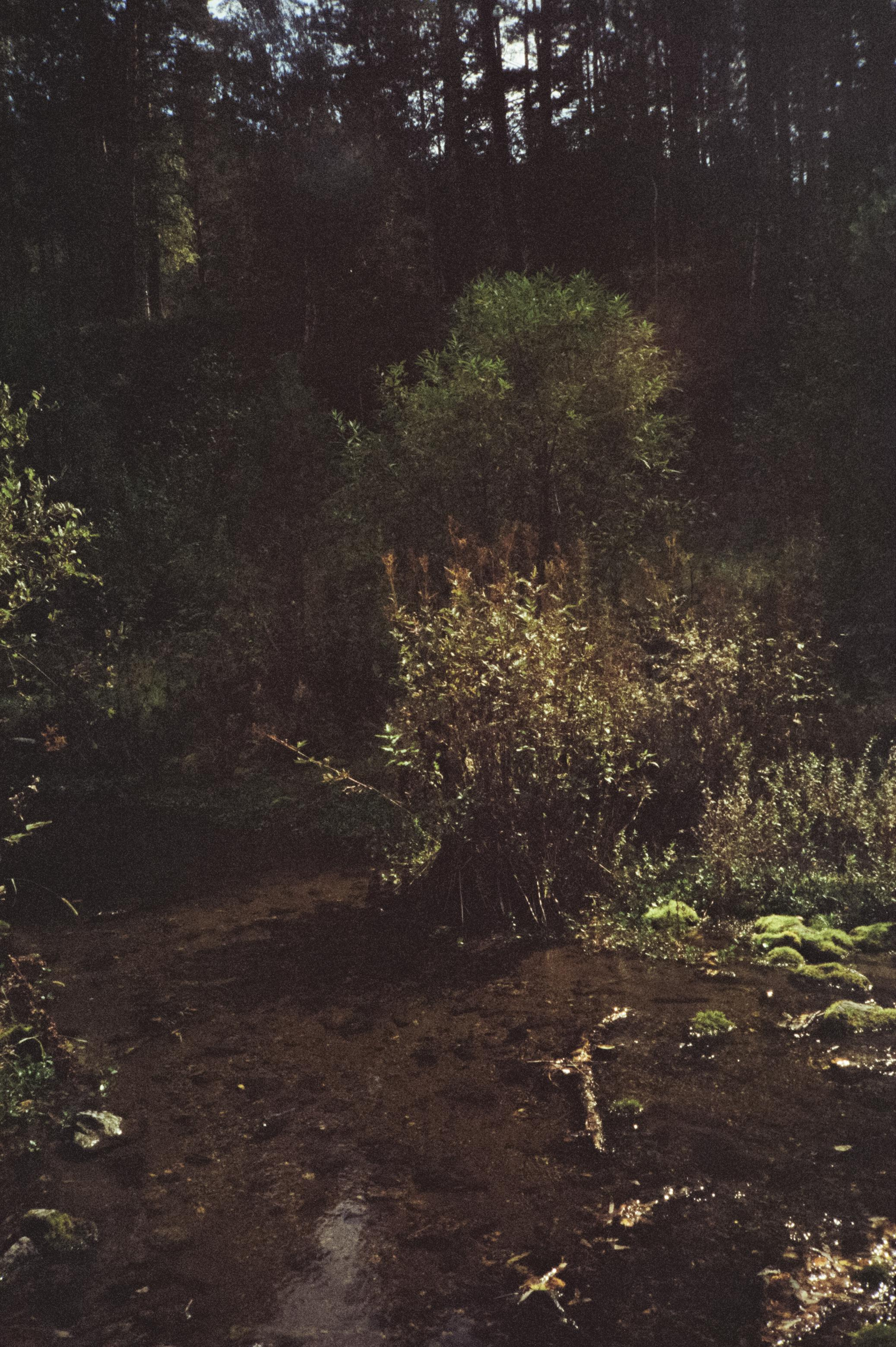 Дорога вдоль горной реки Куюм и база Благодать. Фотограф-документалист Мария Осокина