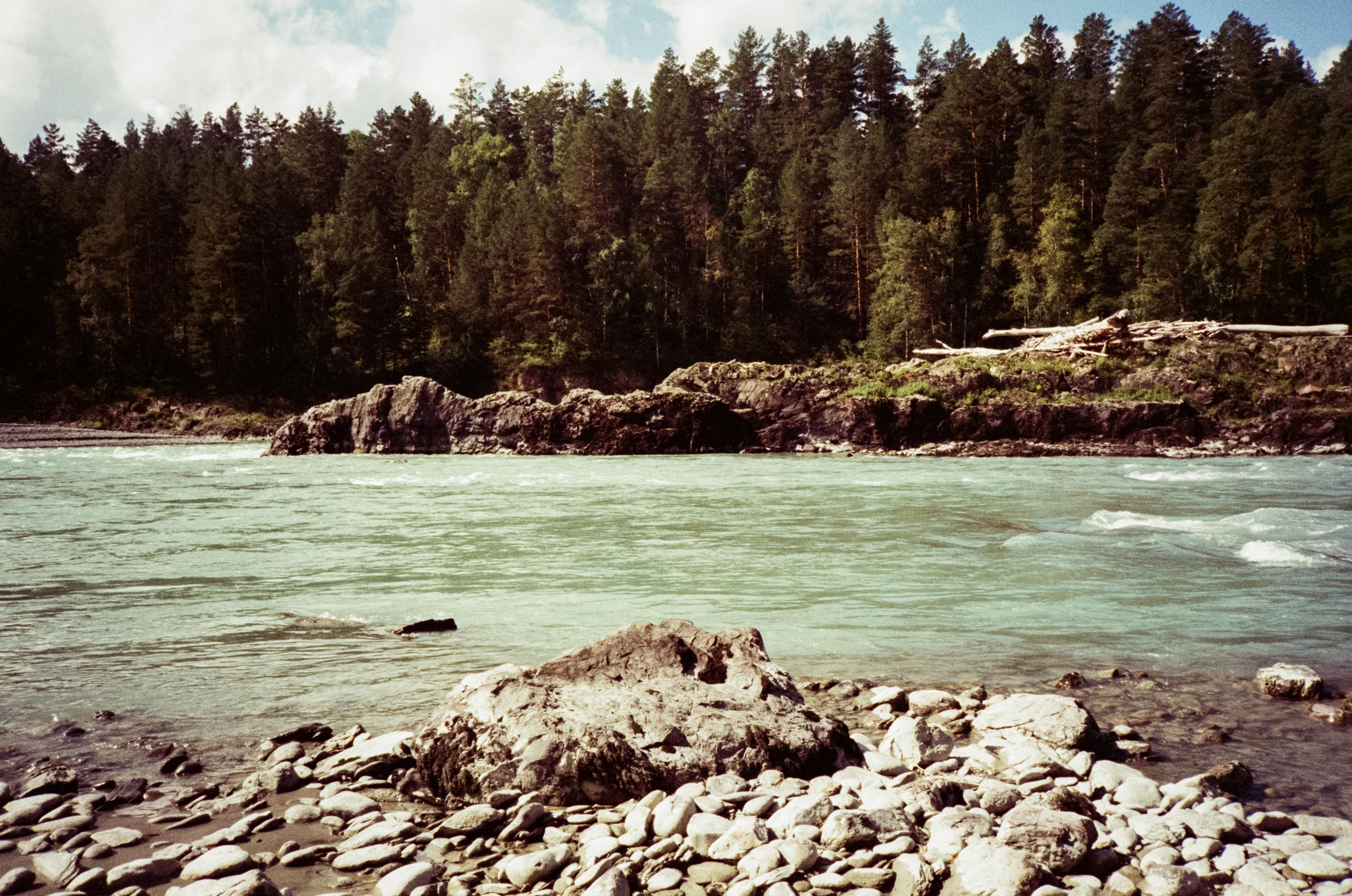 Урочище Чечкыш и острова на Катуни. Фотограф-документалист Мария Осокина