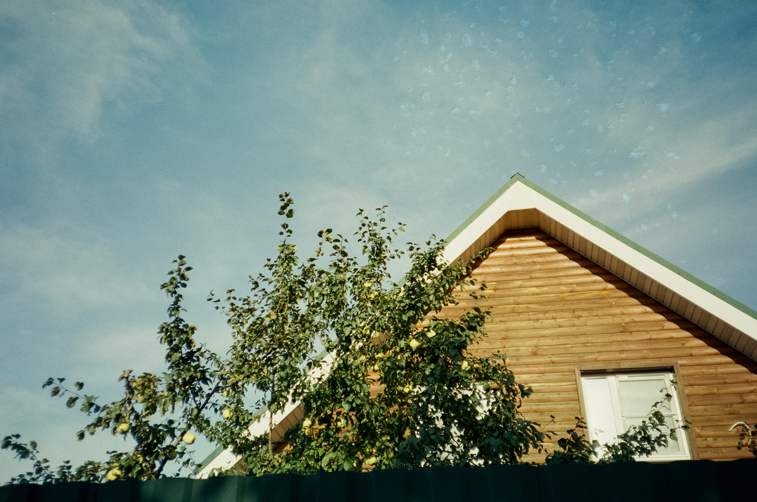 Наша дача и прогулка по садоводству. Золотая осень. Фотограф-документалист Мария Осокина