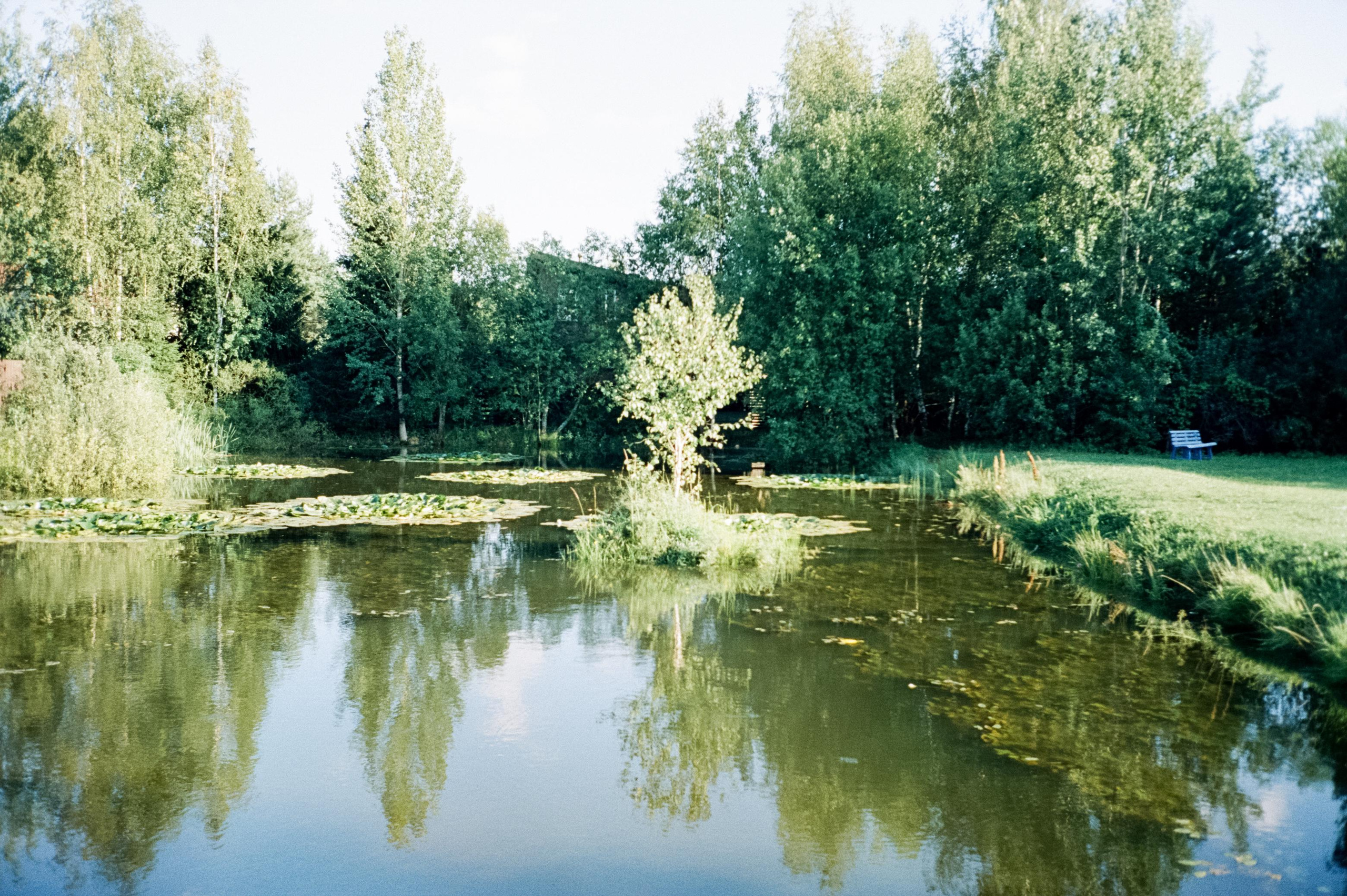 Дача. Лето. Август. Фотограф-документалист Мария Осокина