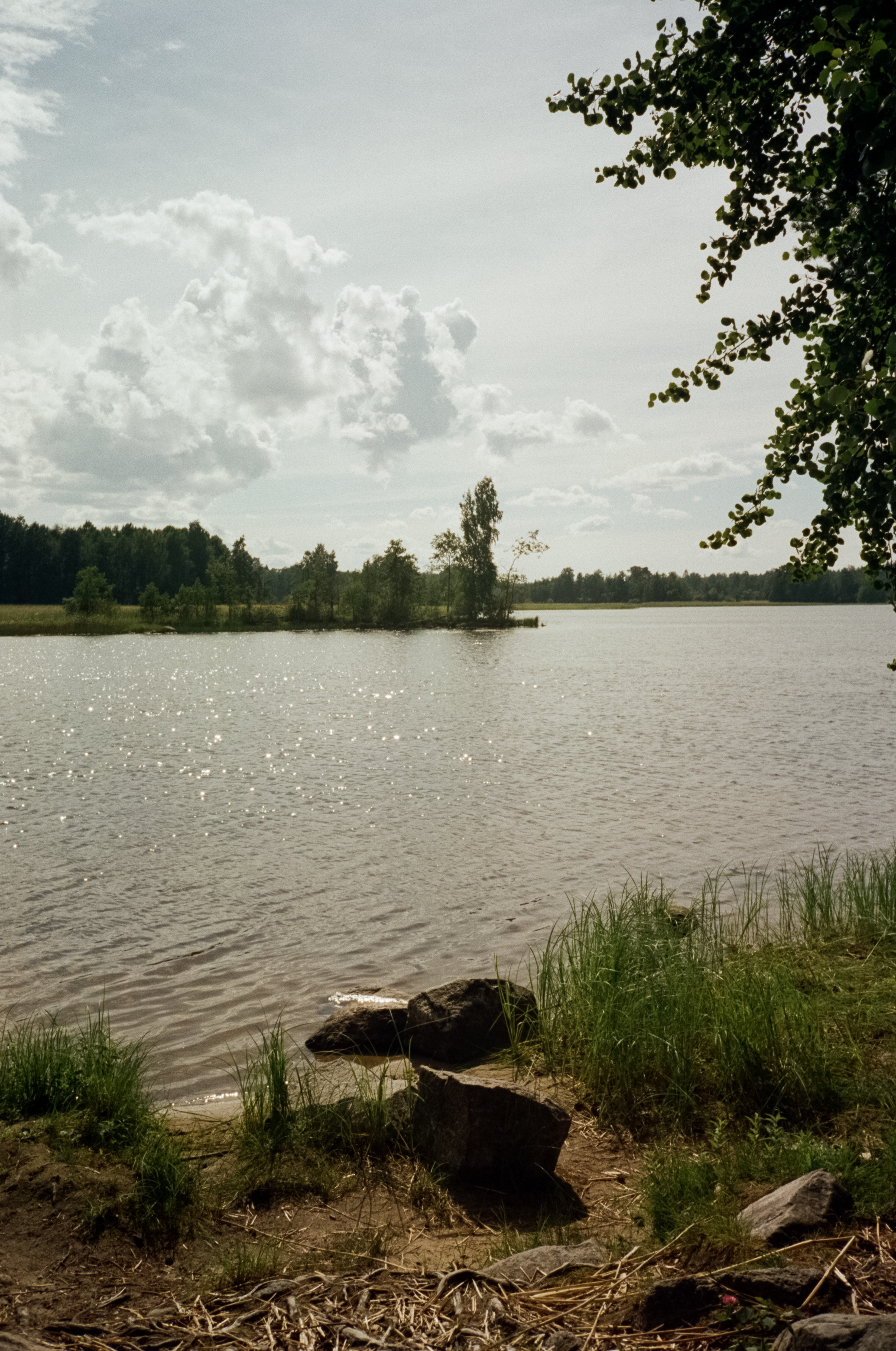 Остров Каменистый на реке Вуокса: экотропа в сосновом лесу, скалы и пл. Фотограф-документалист Мария Осокина