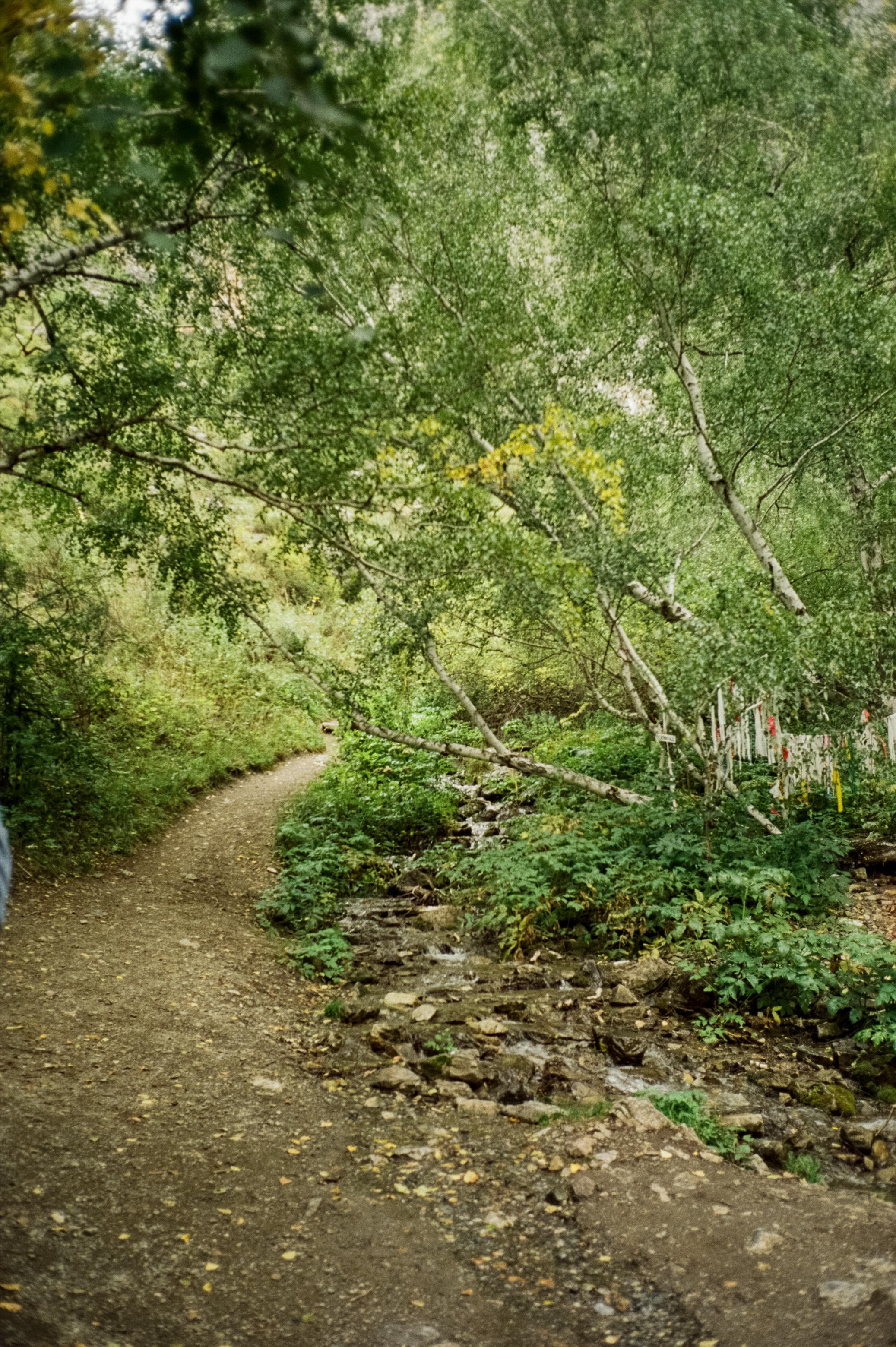 Урочище Чечкыш. Виды на Заячий остров и Разбитое сердце Катуни. Водопа. Фотограф-документалист Мария Осокина
