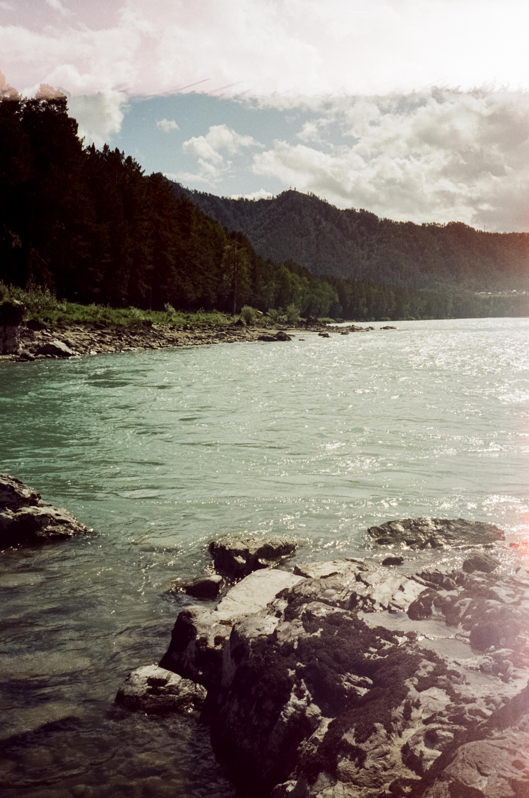 Катунь, острова и сосны в солнечный день. Фотограф-документалист Мария Осокина