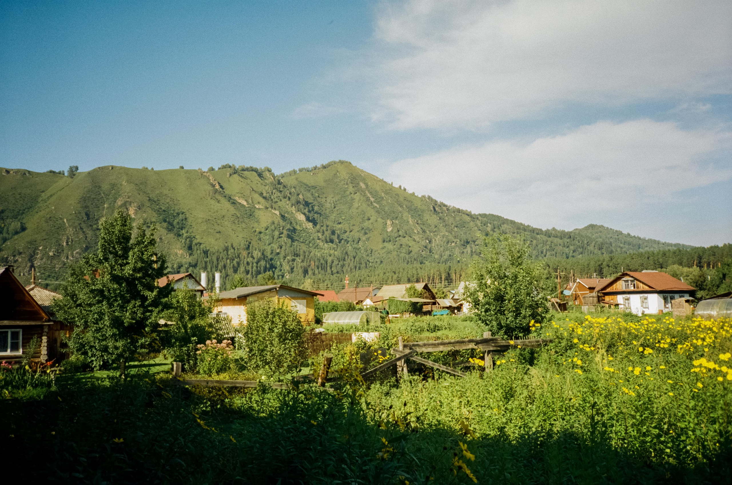 Гора Синюха в тумане и Катунь в жаркий день. У коттеджа Бережок. Фотограф-документалист Мария Осокина
