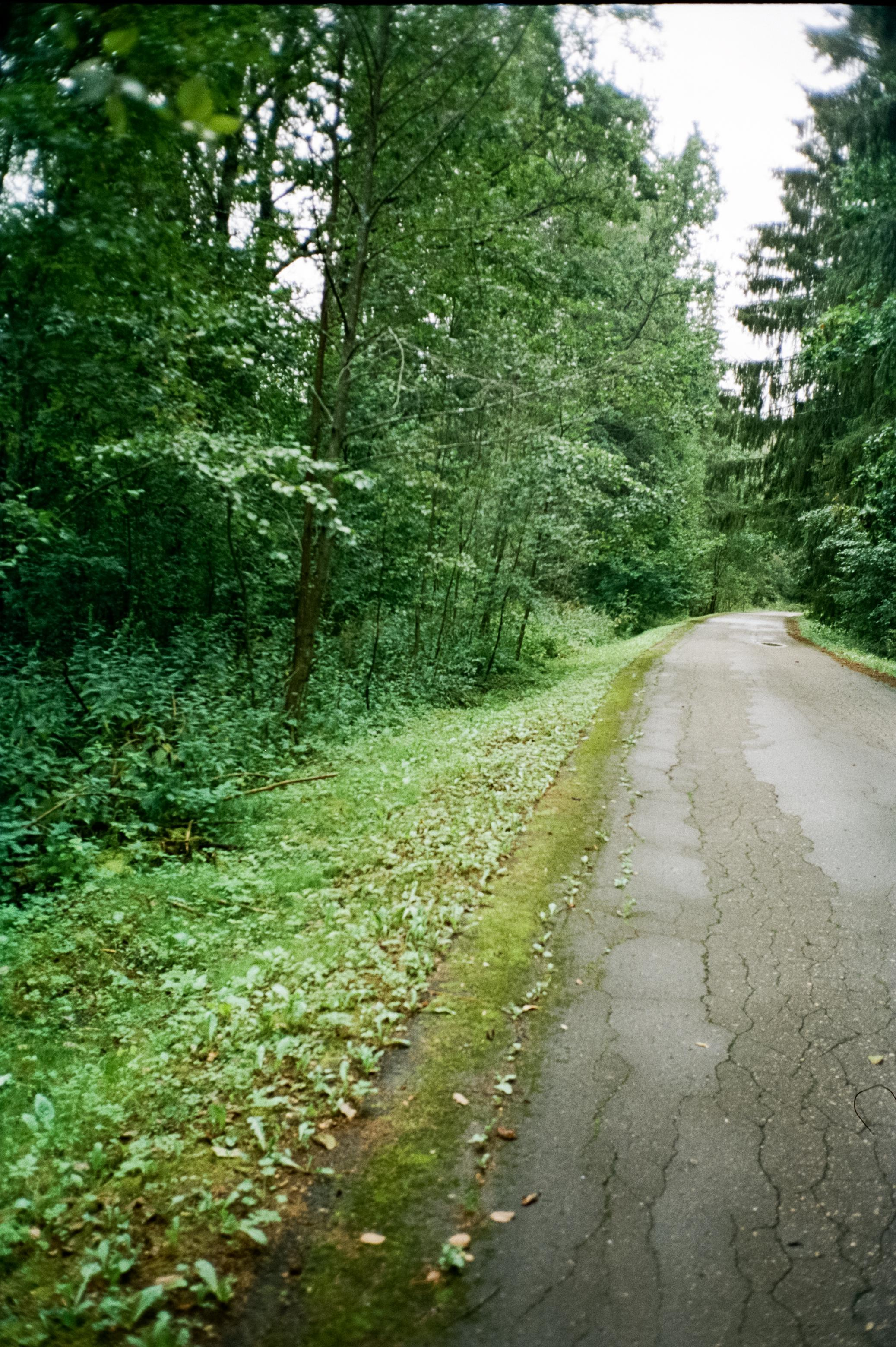 Дача. Лето. Август. Фотограф-документалист Мария Осокина