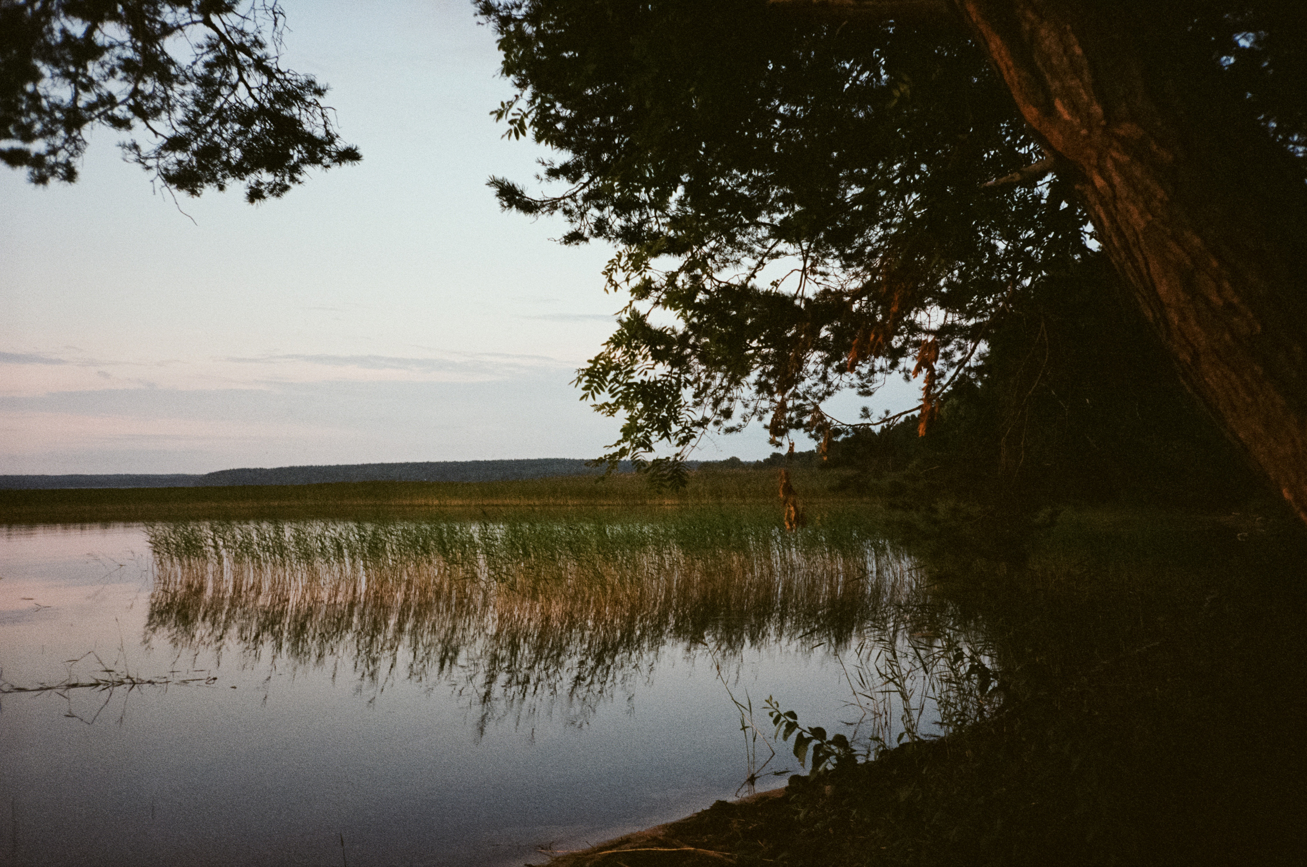 Рассветы и закаты на озере Отрадное. Фотограф-документалист Мария Осокина